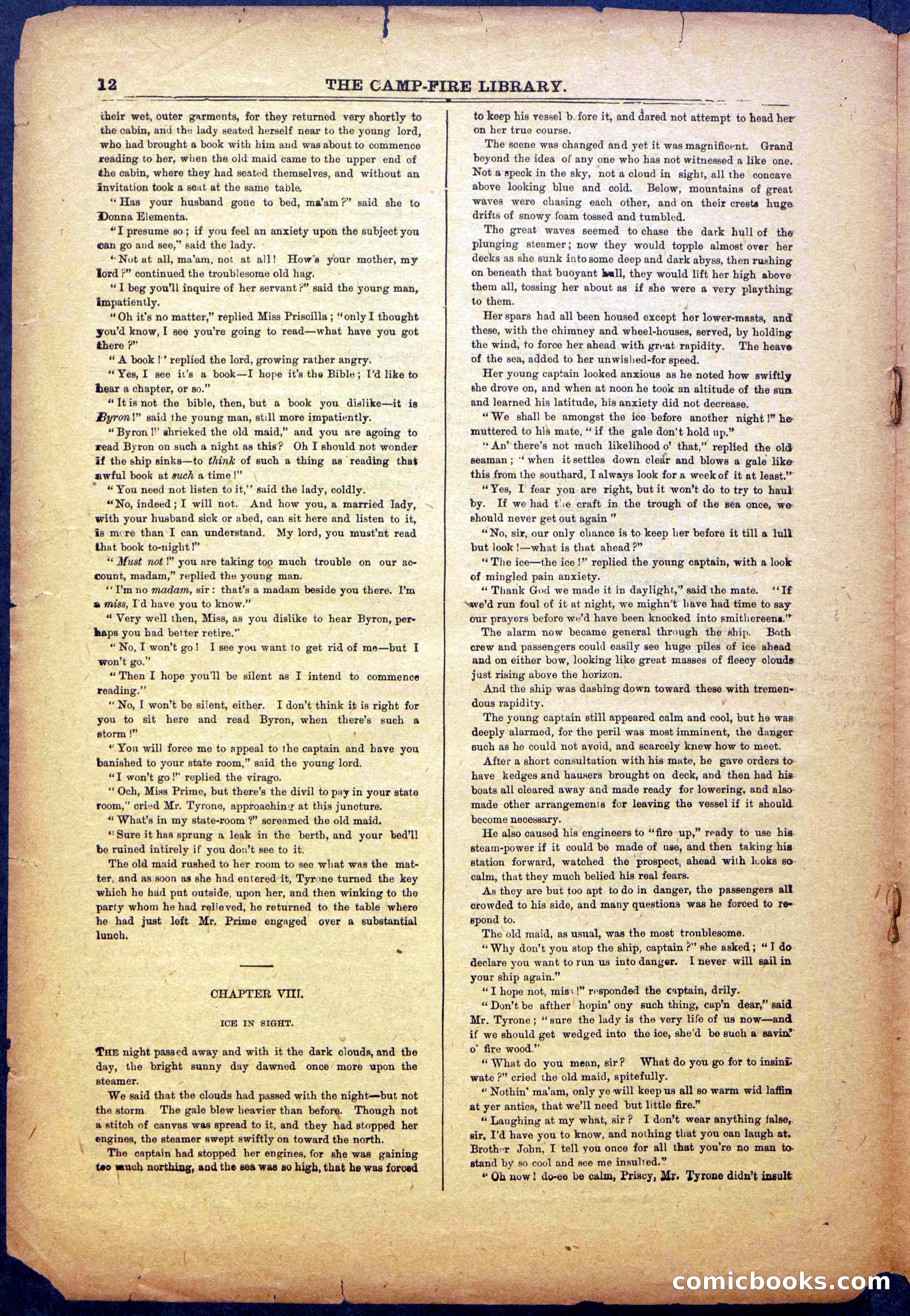 The Beadle's New York Dime Library: The Reckoning — page 12 of 24