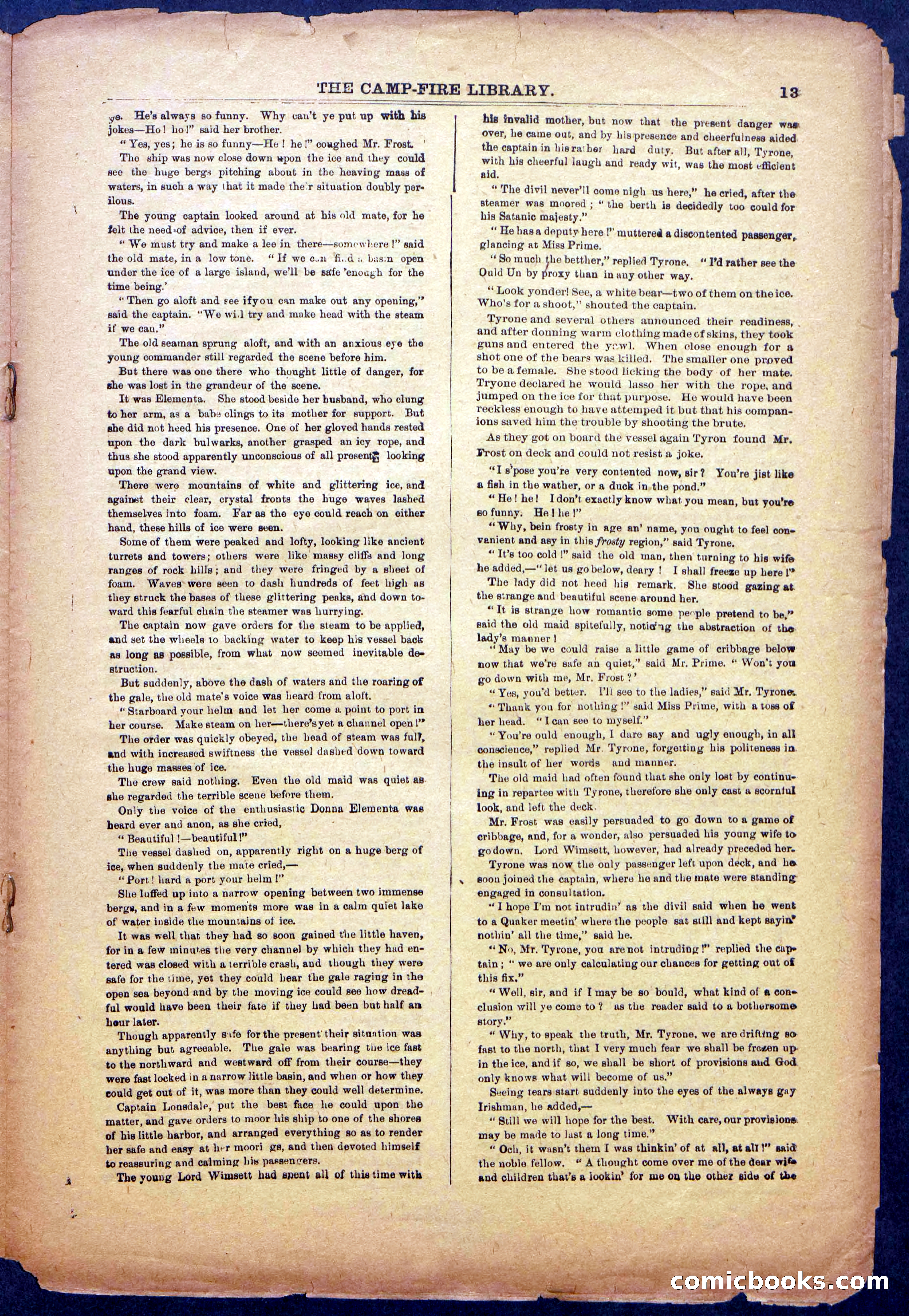 The Beadle's New York Dime Library: The Reckoning — page 13 of 24