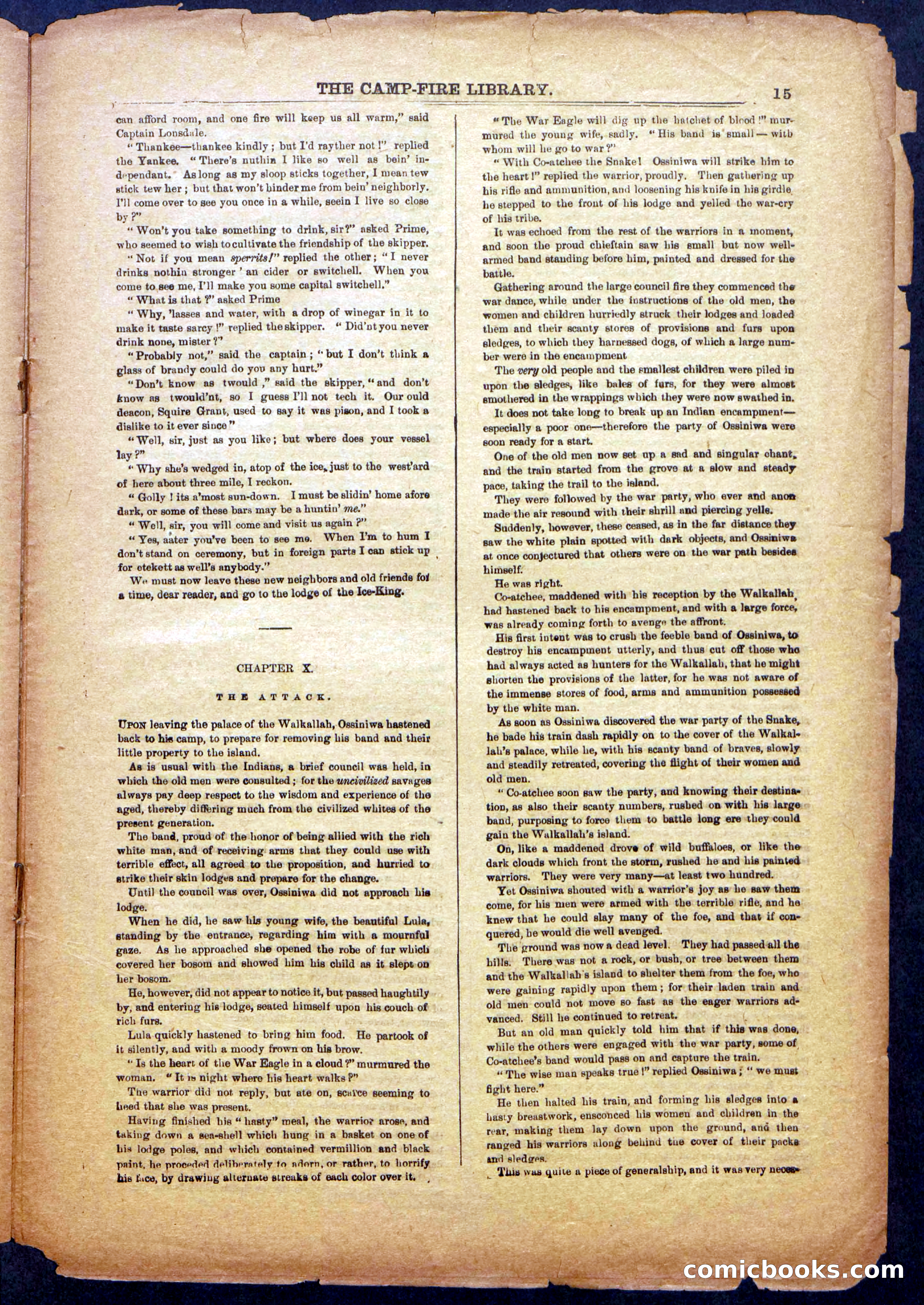 The Beadle's New York Dime Library: The Reckoning — page 15 of 24