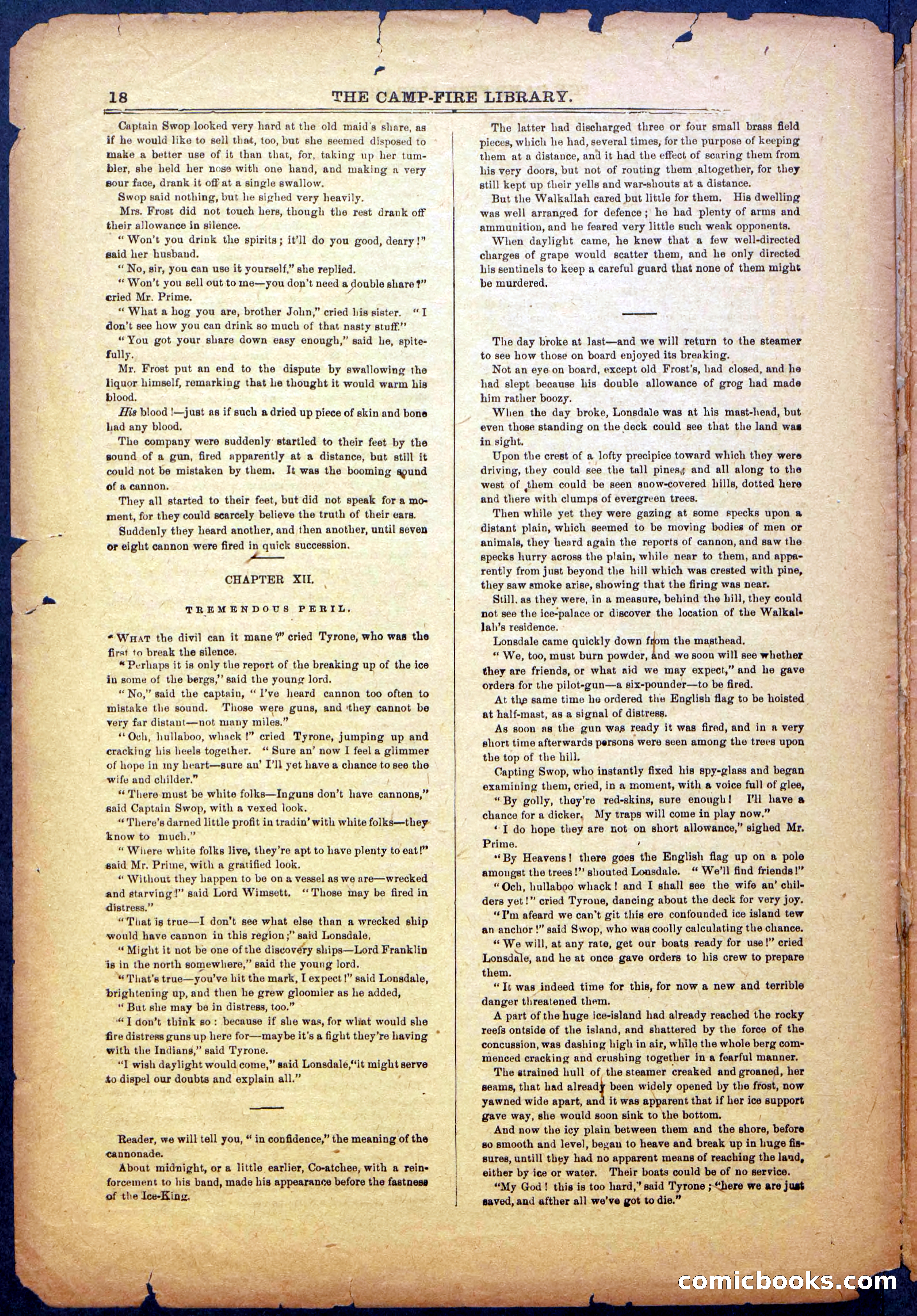 The Beadle's New York Dime Library: The Reckoning — page 18 of 24