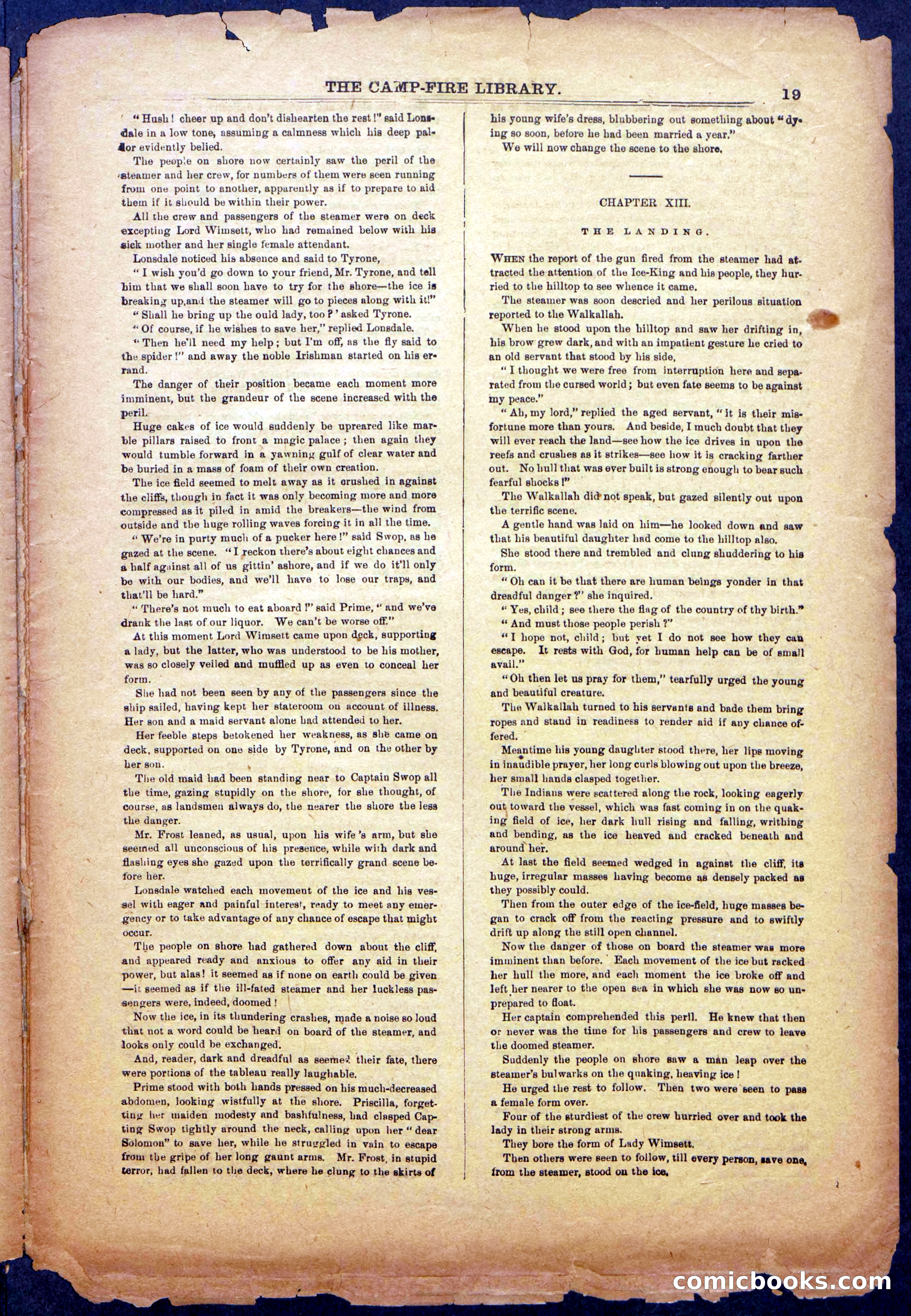 The Beadle's New York Dime Library: The Reckoning — page 19 of 24