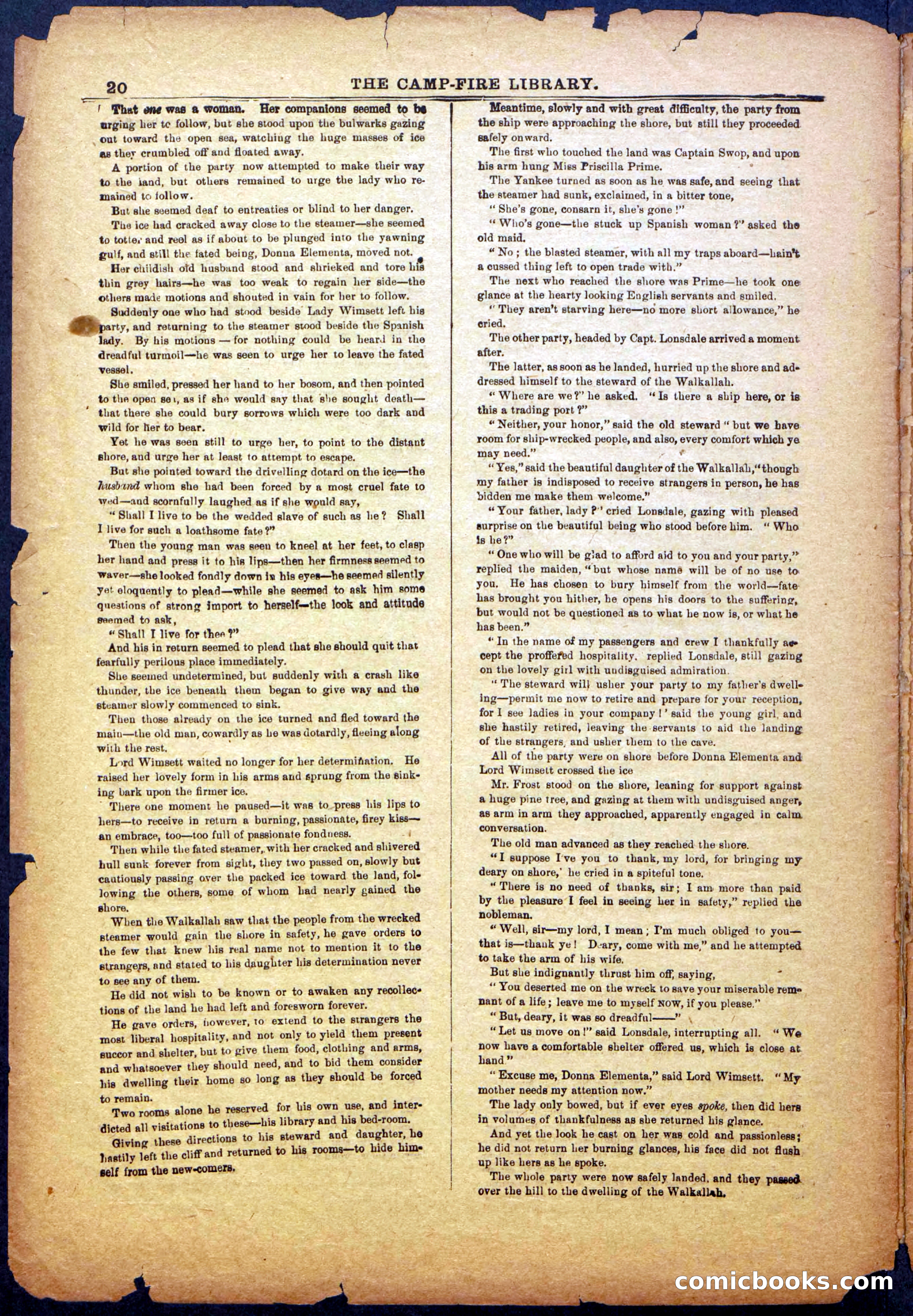 The Beadle's New York Dime Library: The Reckoning — page 20 of 24