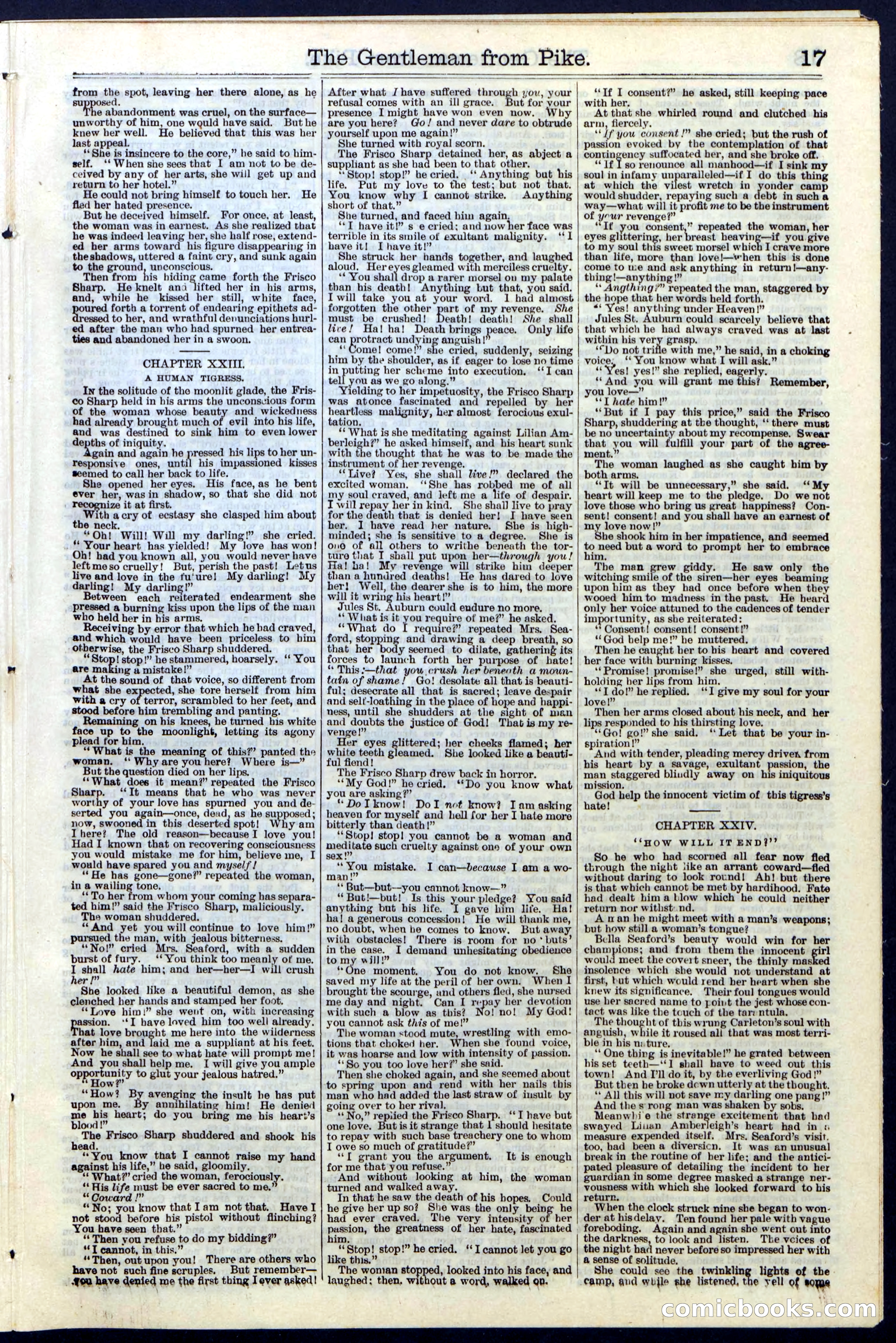 Beadle's New York Dime Library No. 114 — page 17 of 32