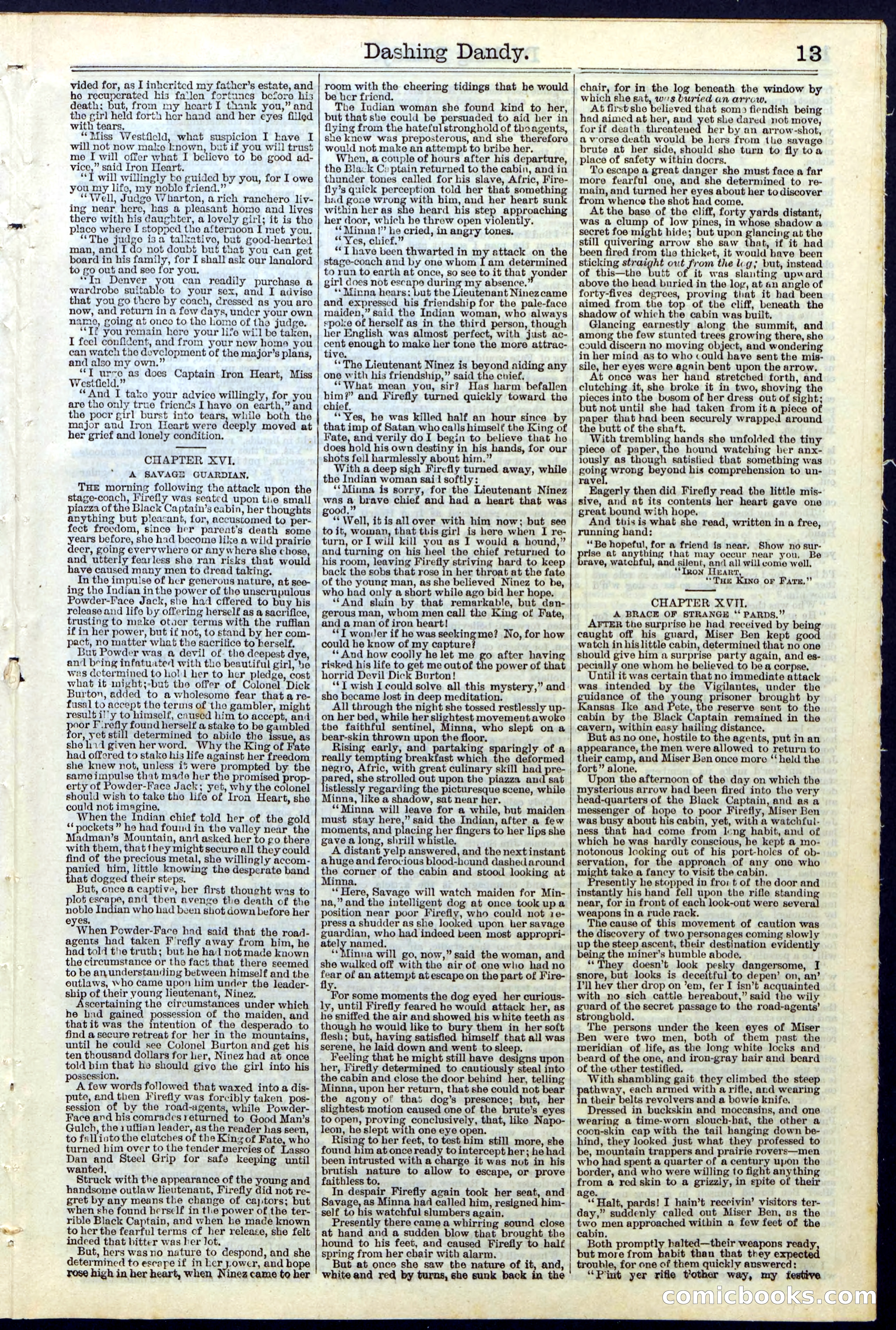Beadle's New York Dime Library, No. 117 — page 13 of 24