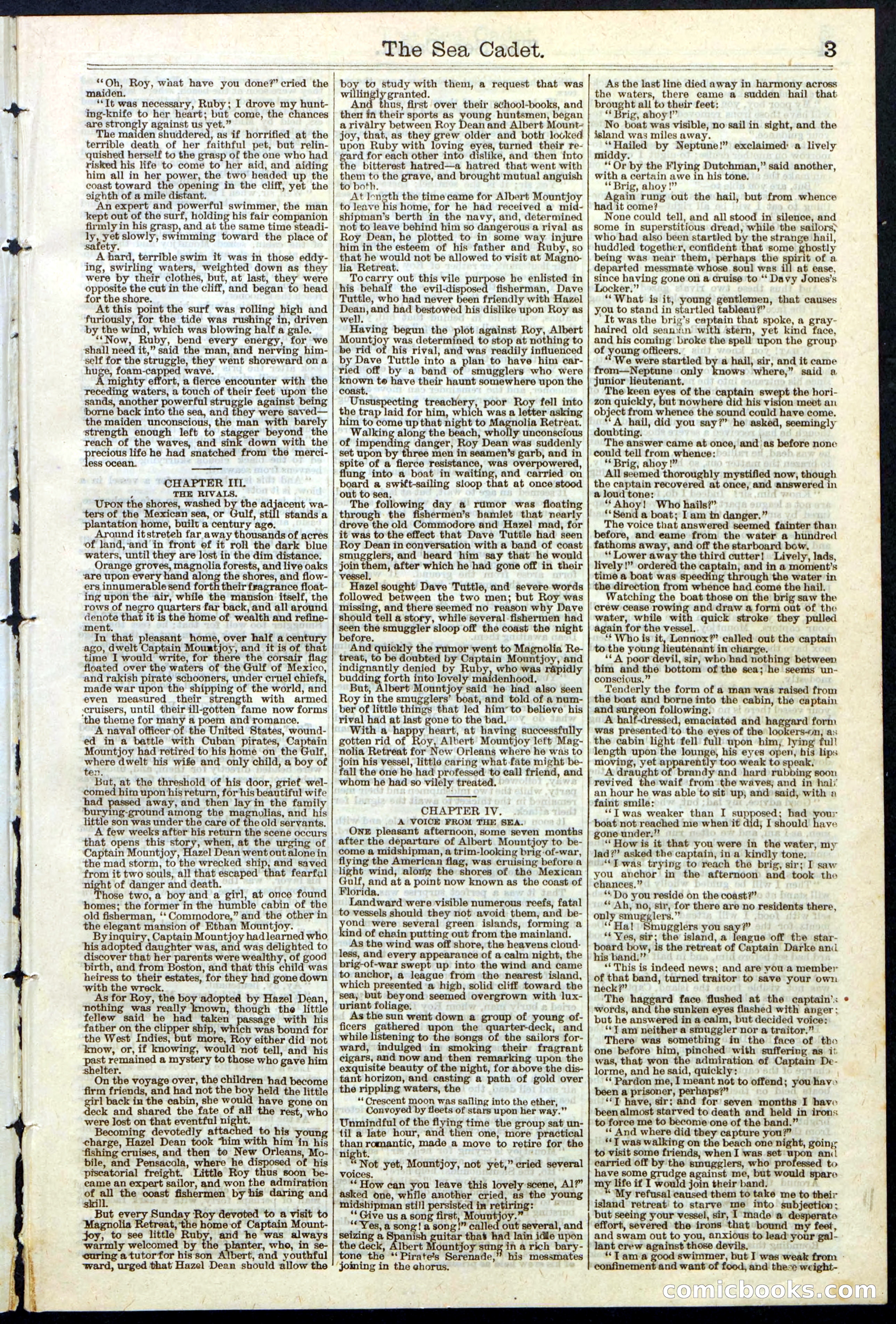 Beadle's New York Dime Library, No. 121 — page 3 of 32