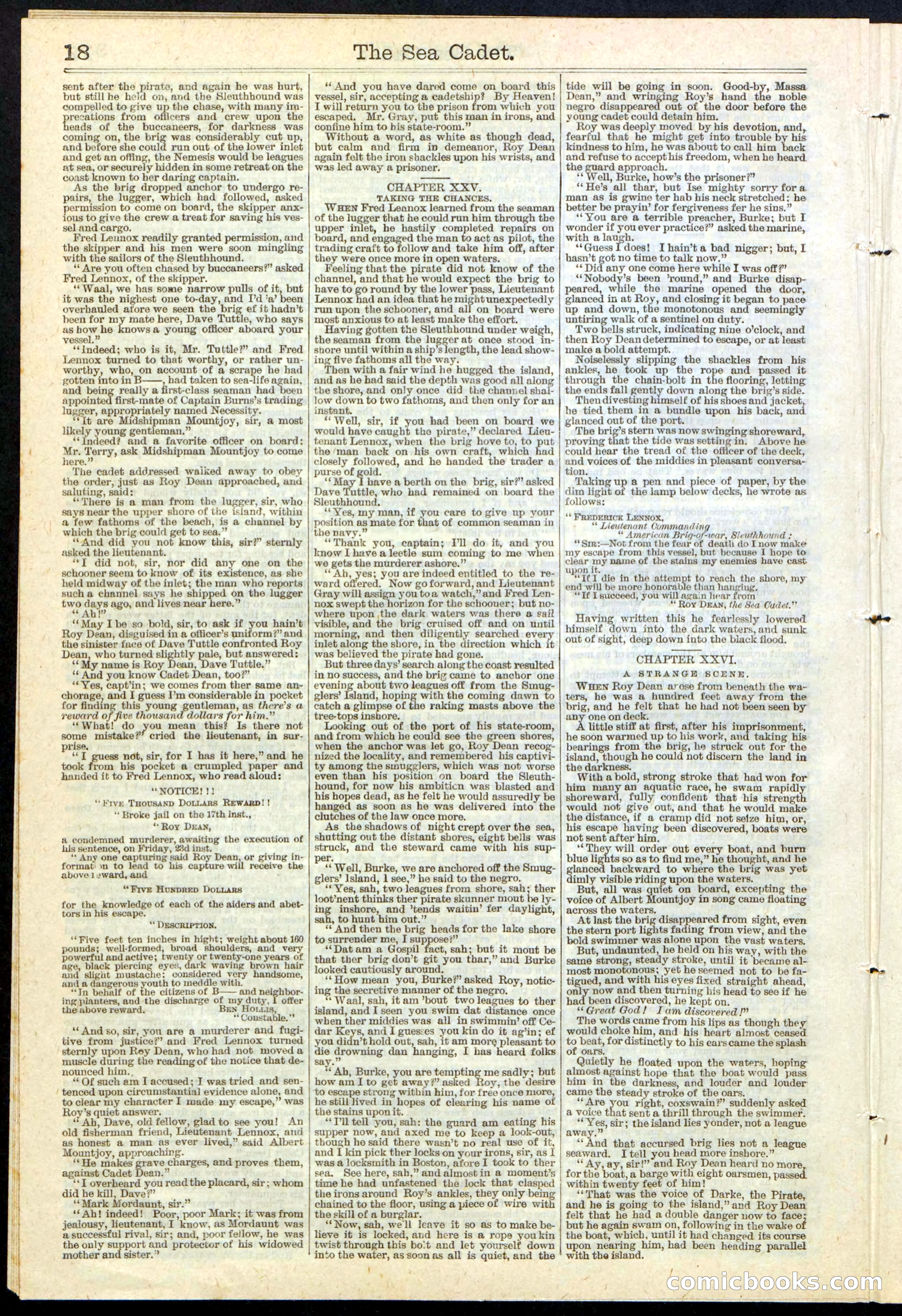 Beadle's New York Dime Library, No. 121 — page 18 of 32