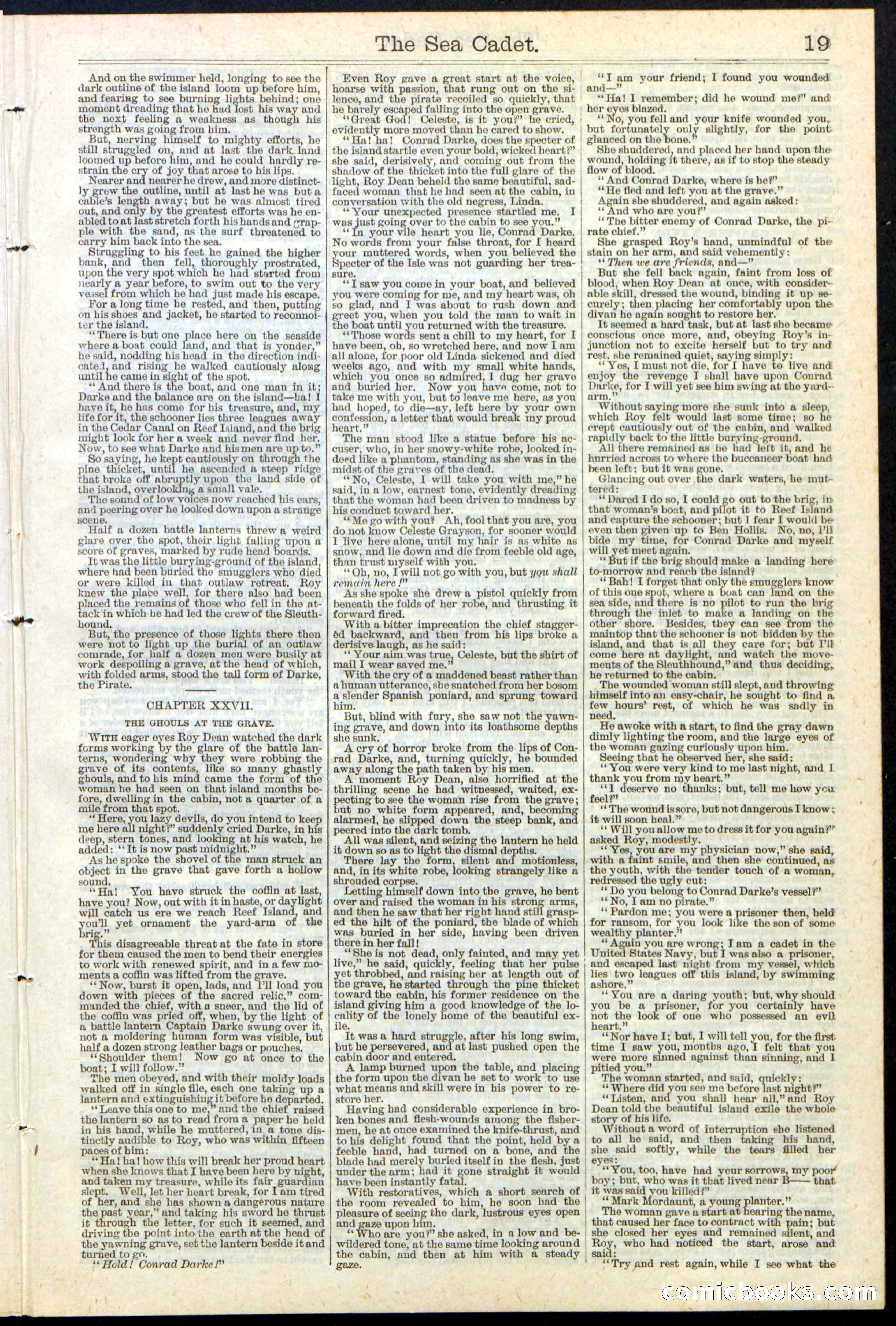 Beadle's New York Dime Library, No. 121 — page 19 of 32