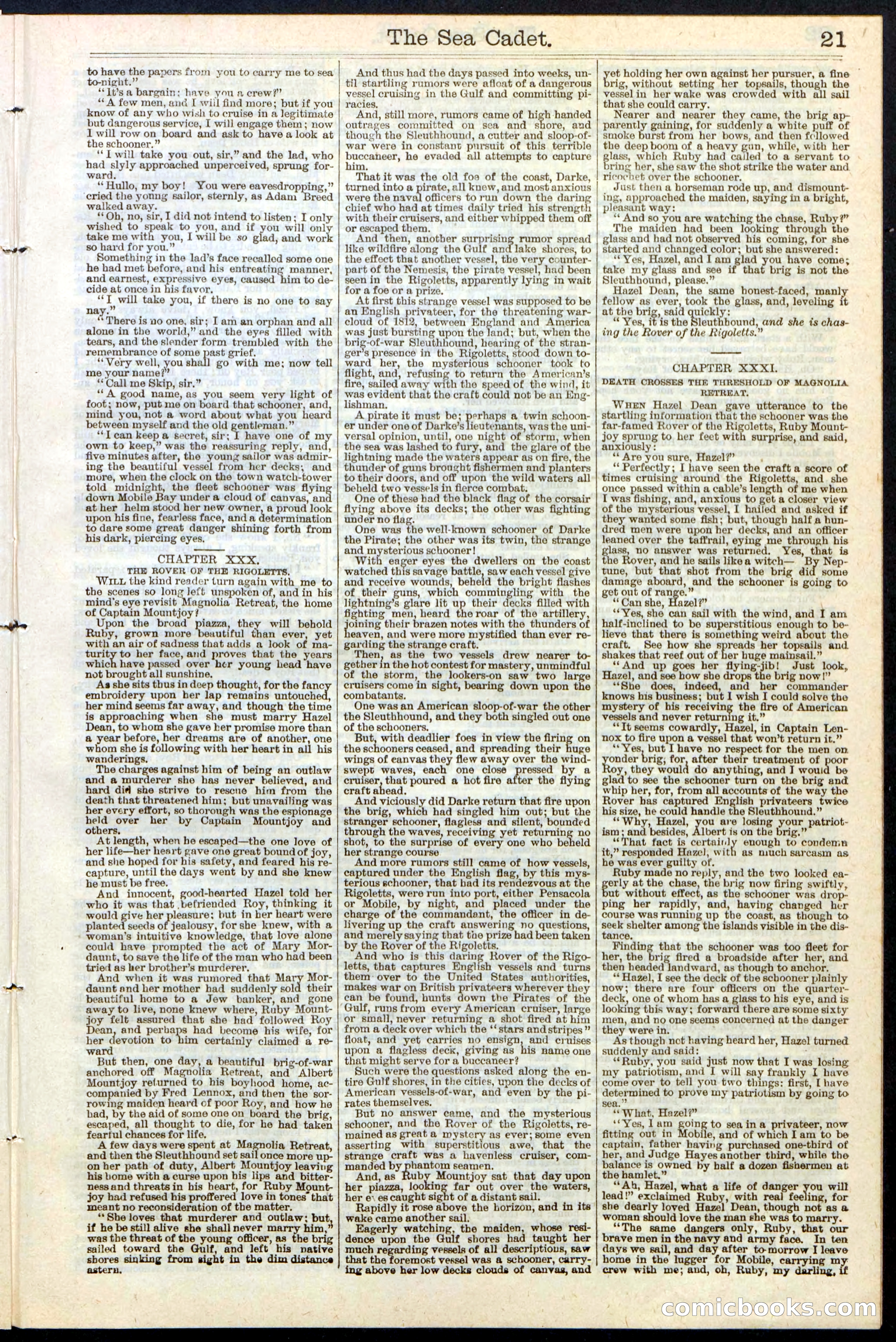Beadle's New York Dime Library, No. 121 — page 21 of 32