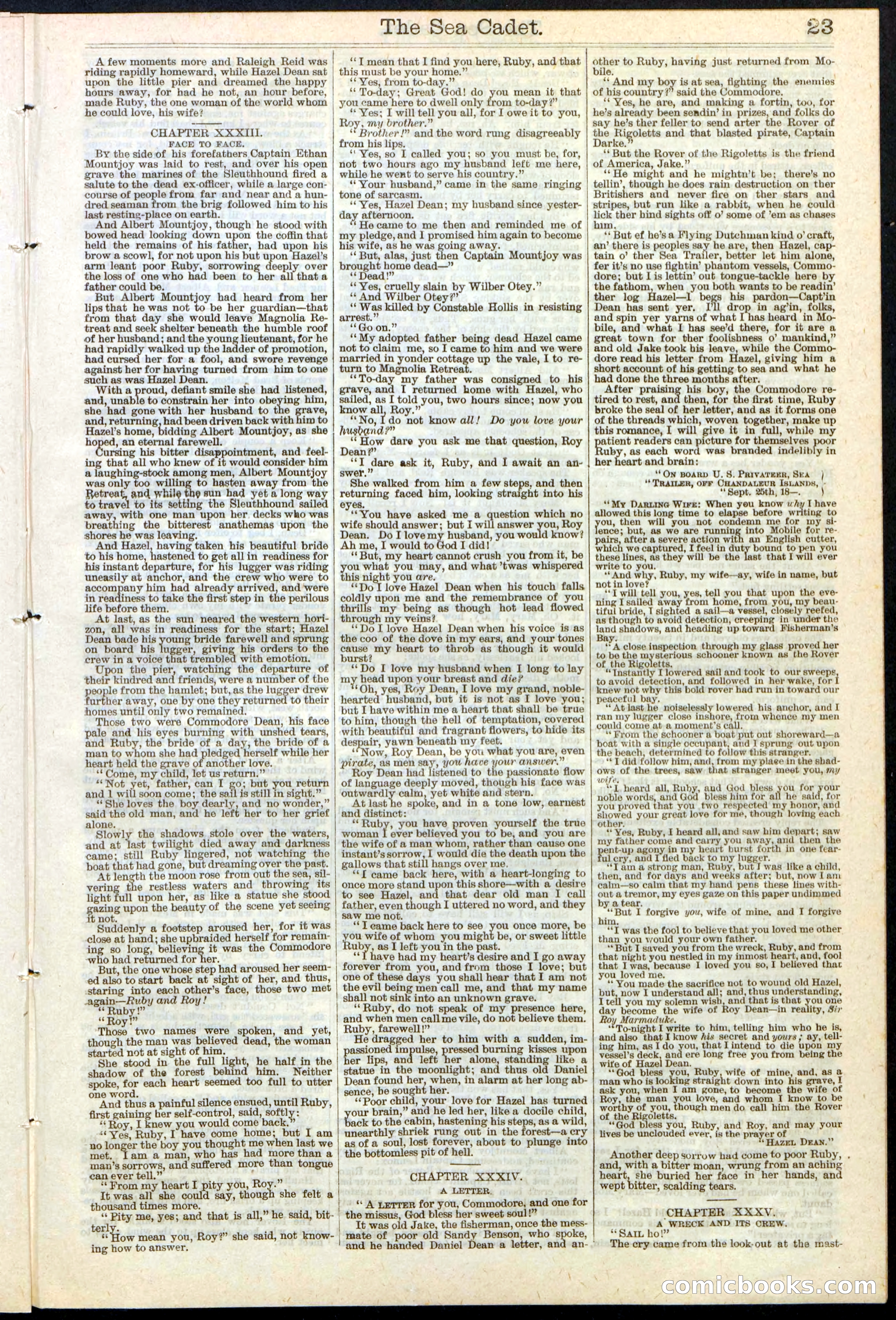 Beadle's New York Dime Library, No. 121 — page 23 of 32