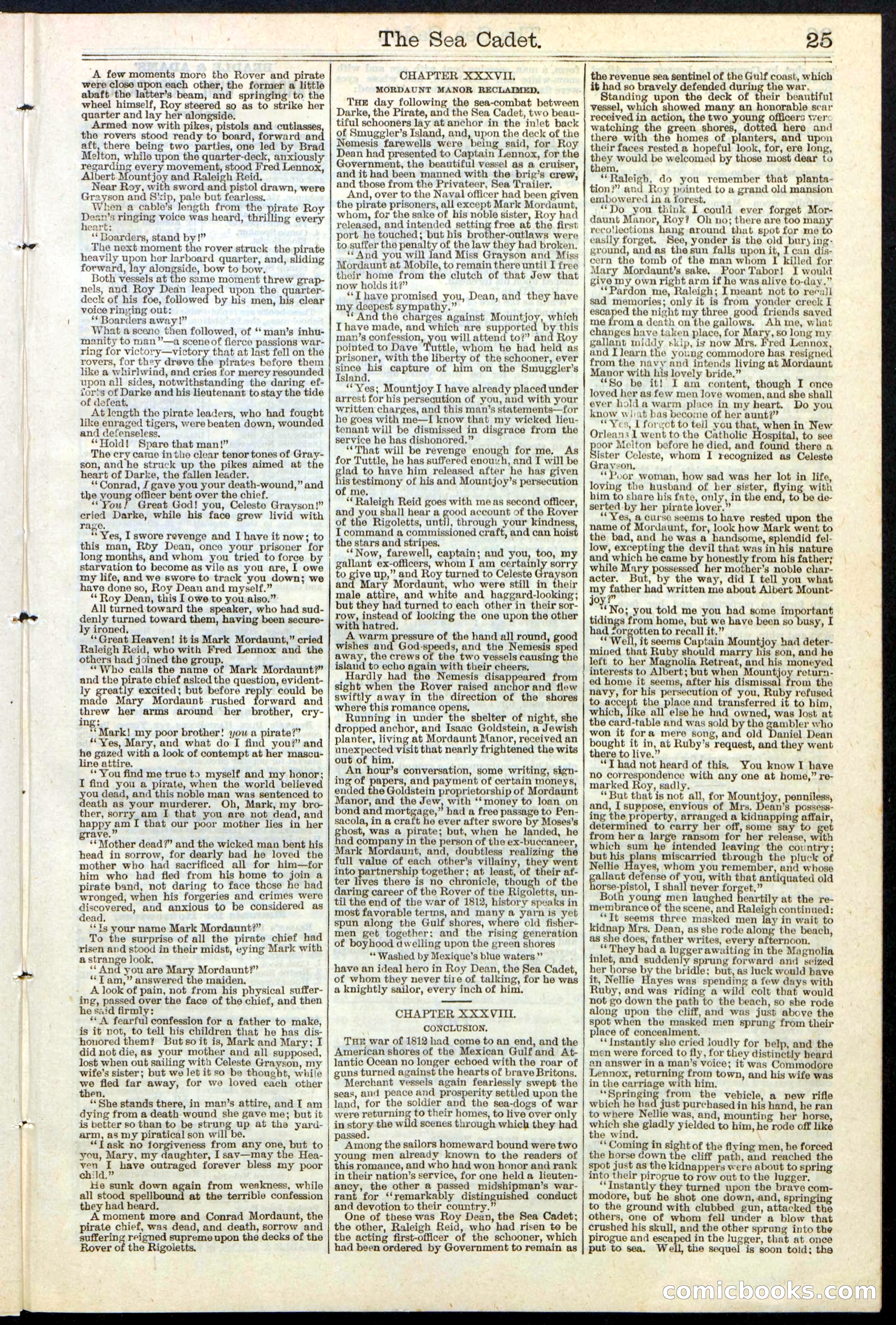 Beadle's New York Dime Library, No. 121 — page 25 of 32