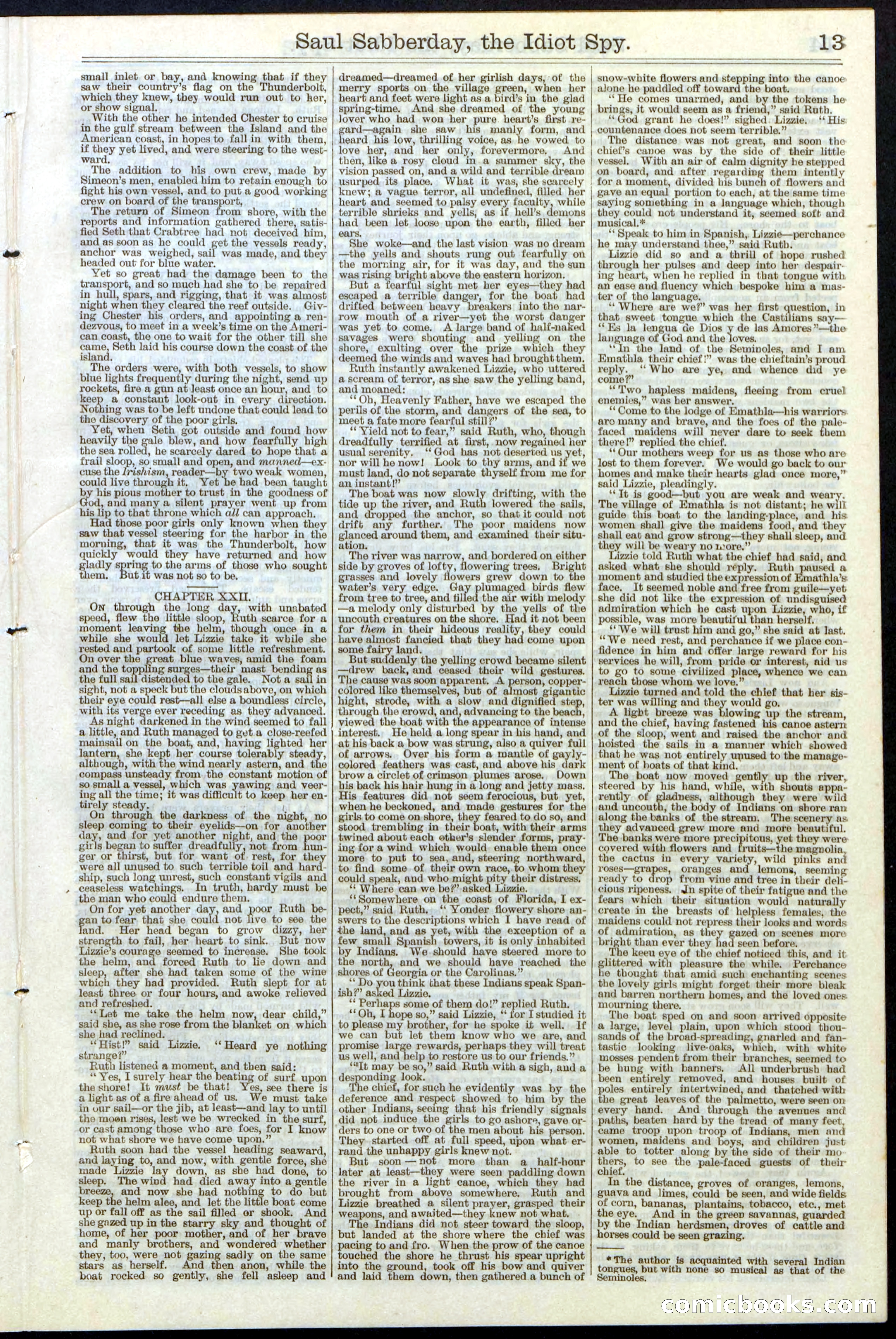 Beadle's New York Dime Library No. 122 — page 13 of 24