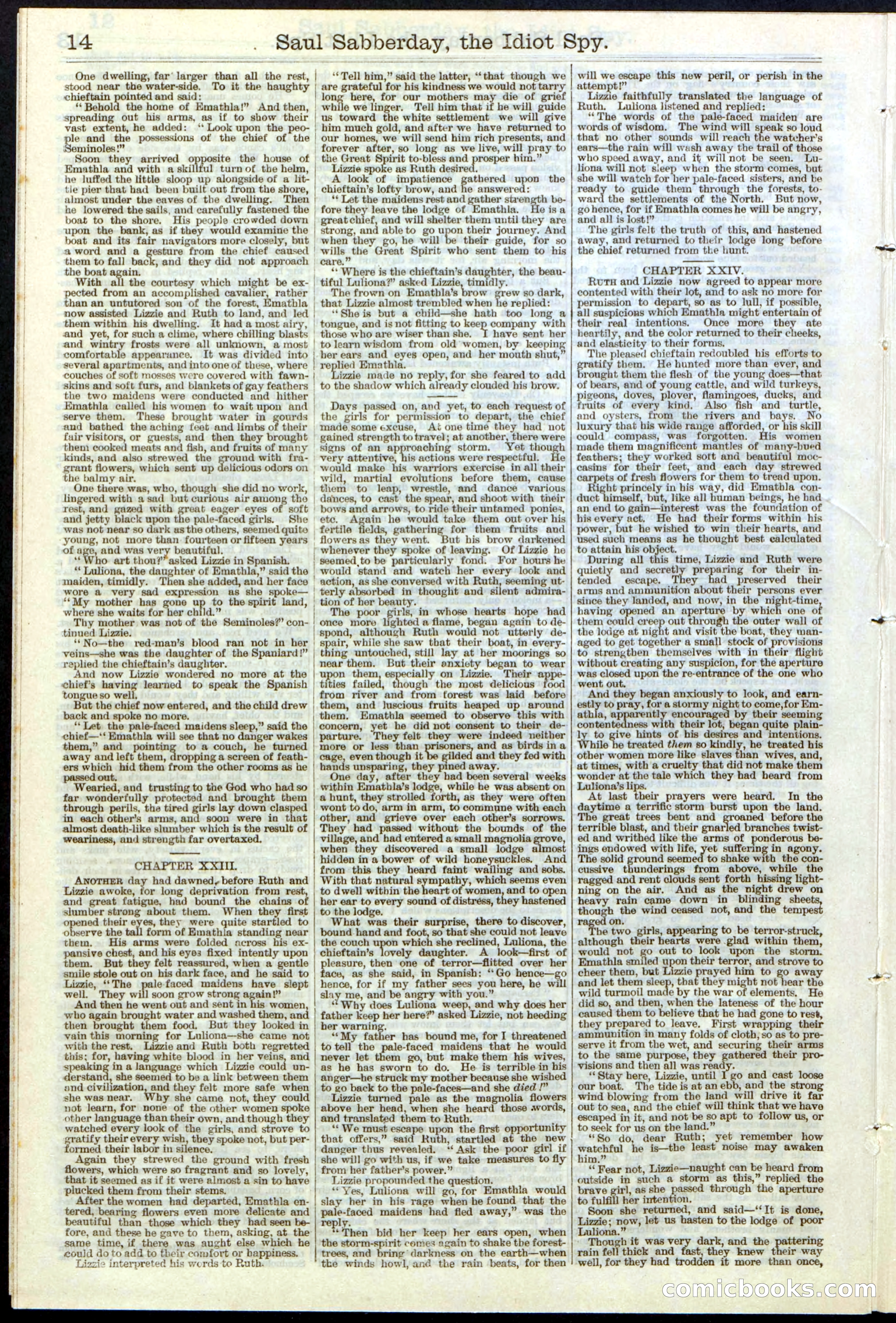 Beadle's New York Dime Library No. 122 — page 14 of 24