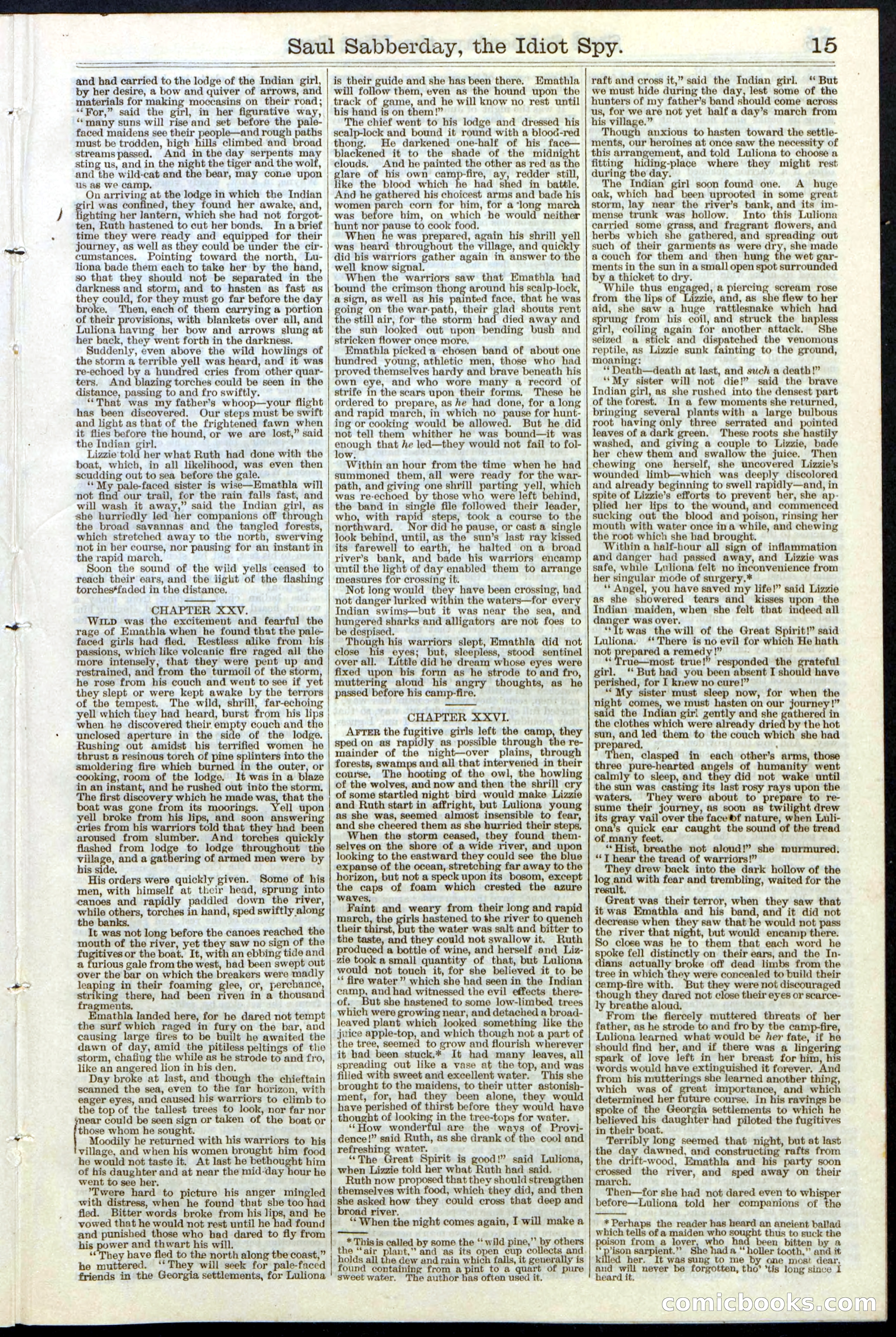 Beadle's New York Dime Library No. 122 — page 15 of 24