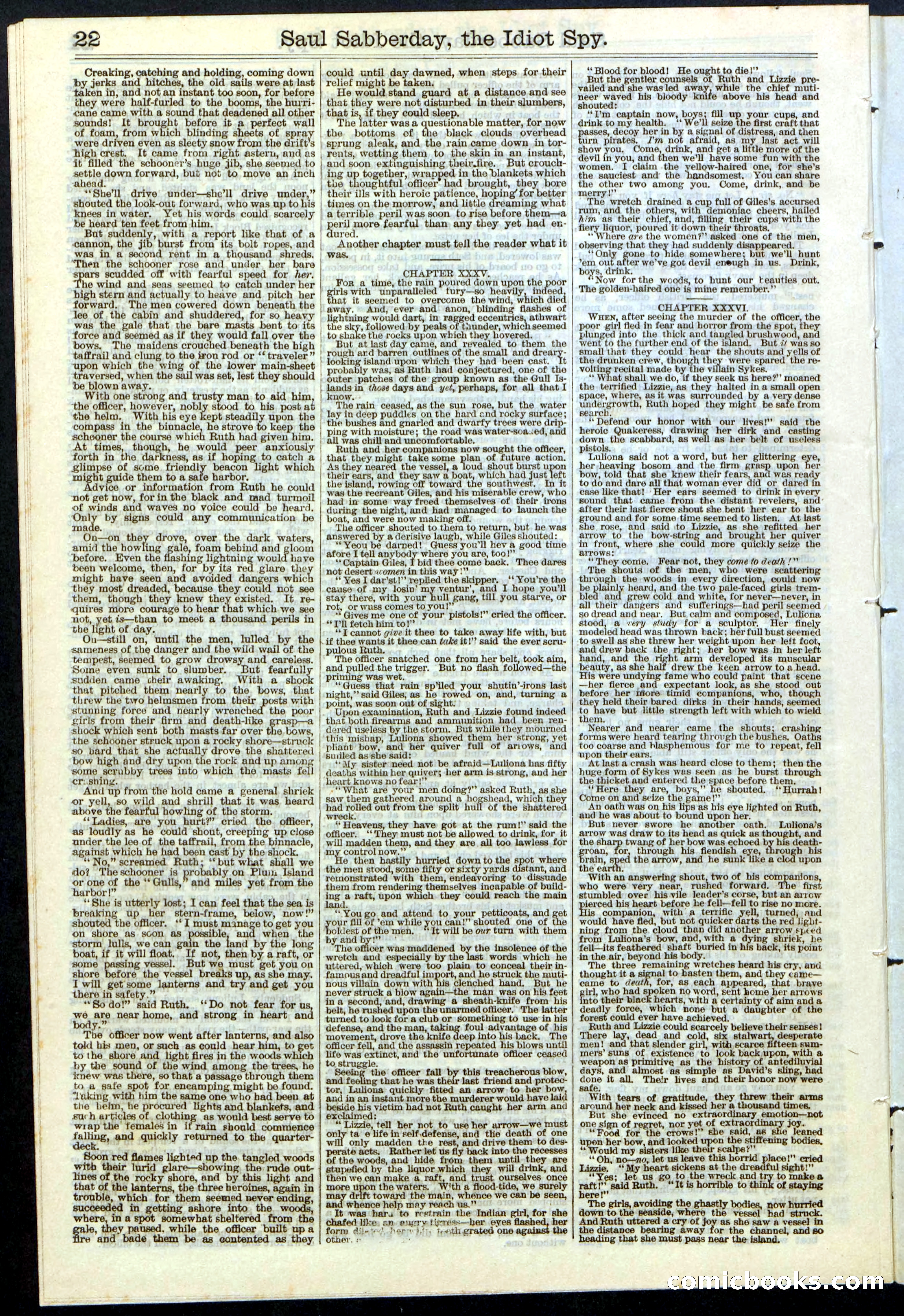 Beadle's New York Dime Library No. 122 — page 22 of 24