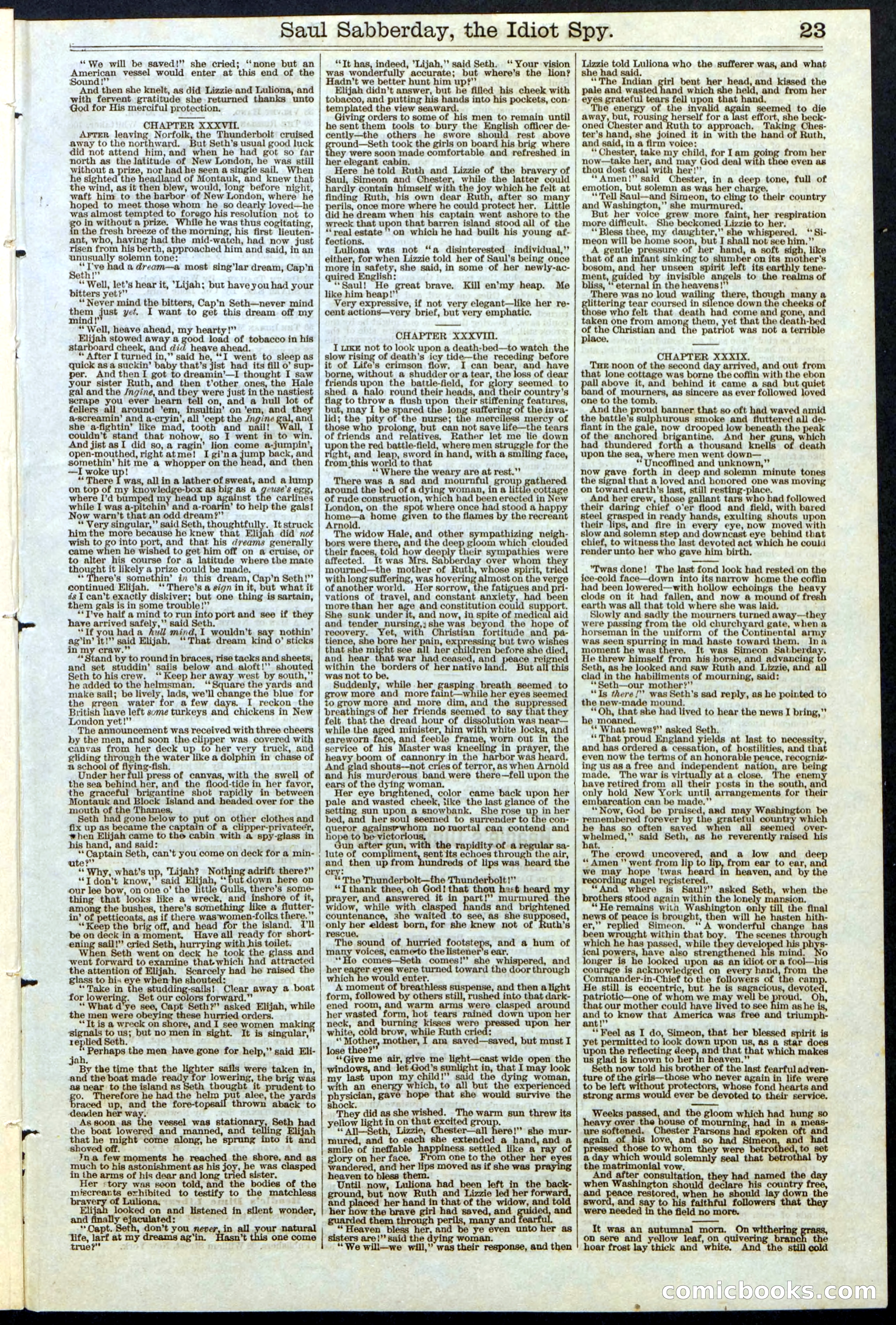Beadle's New York Dime Library No. 122 — page 23 of 24