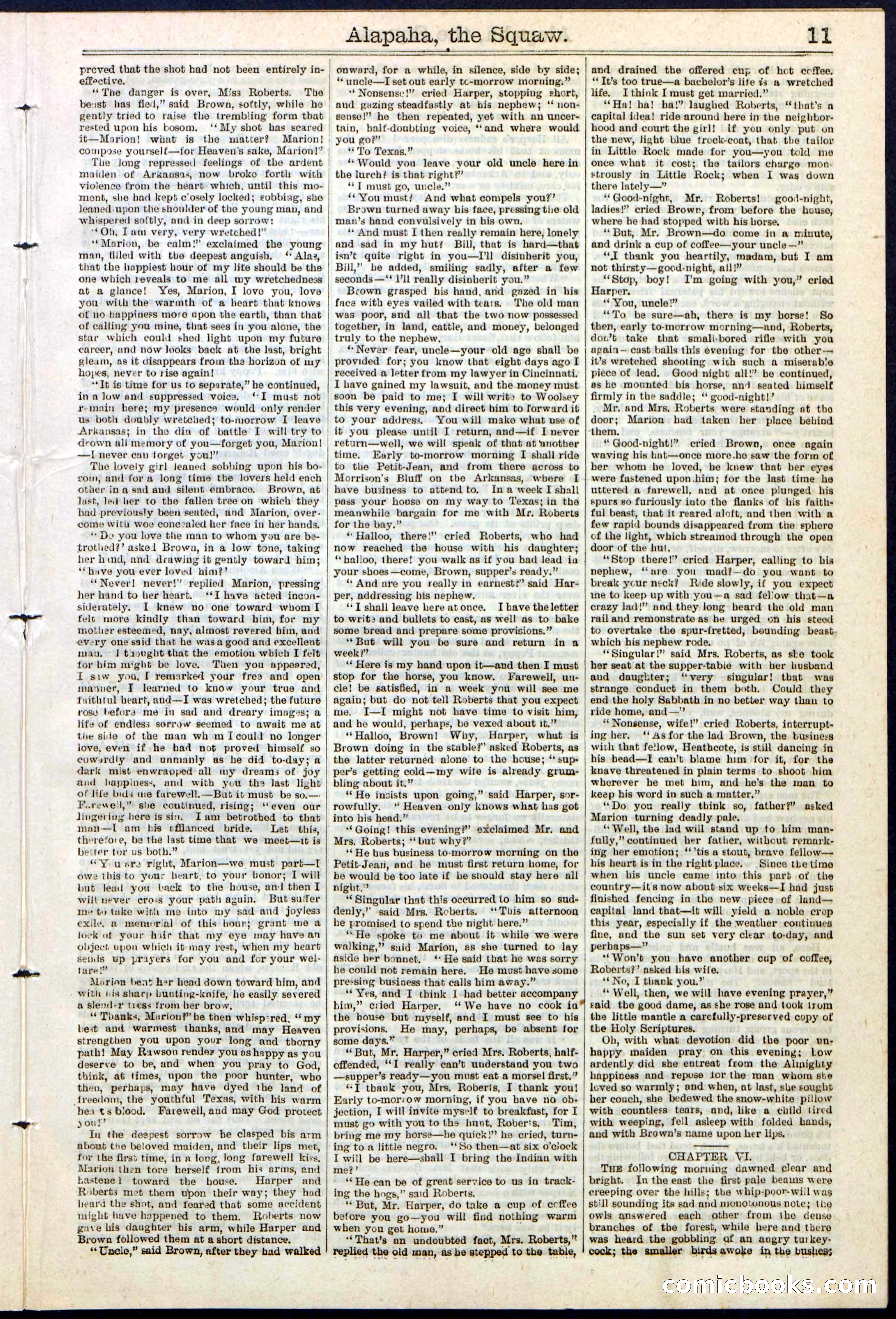 Beadle's New York Dime Library No. 123 — page 11 of 24