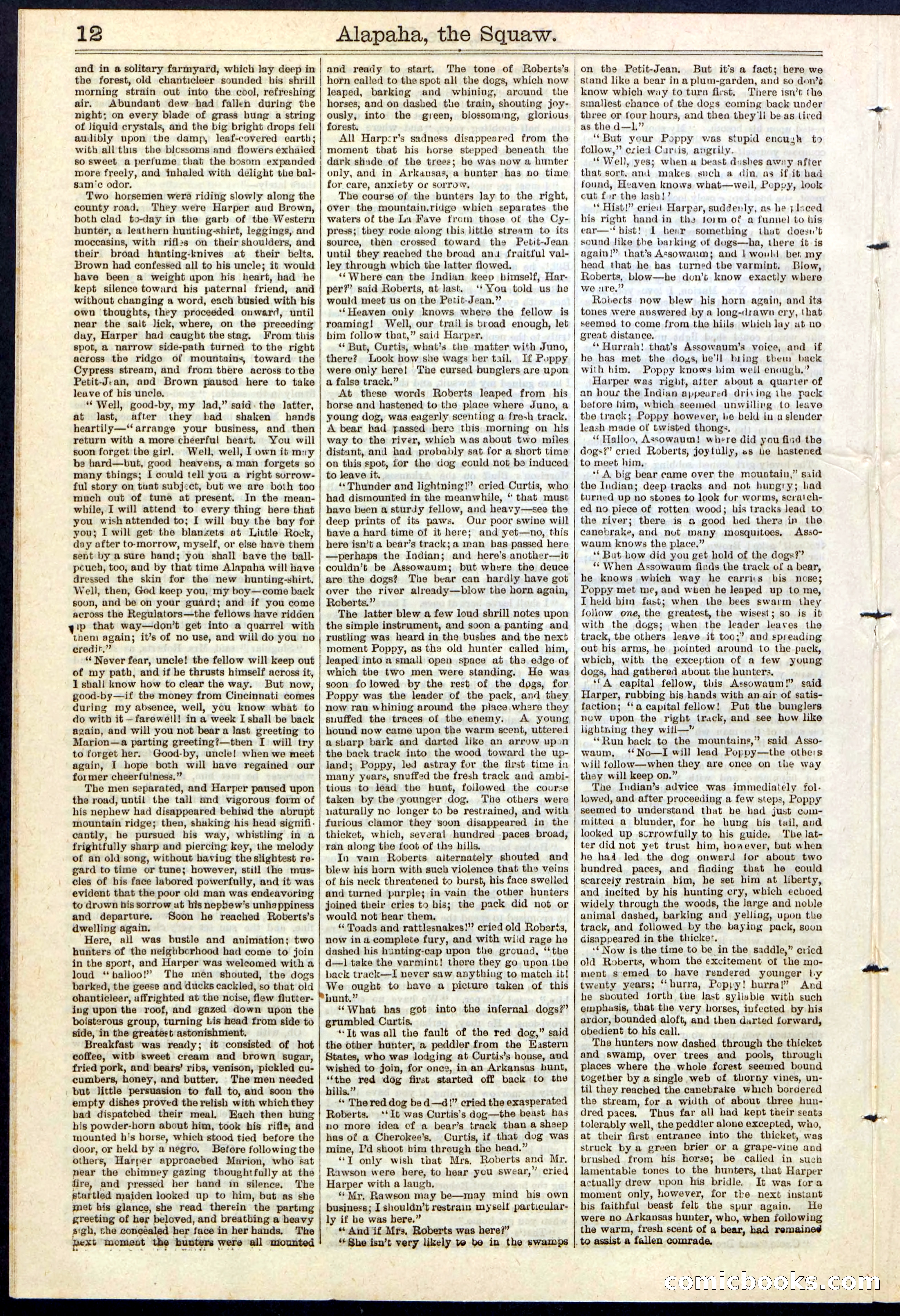 Beadle's New York Dime Library No. 123 — page 12 of 24