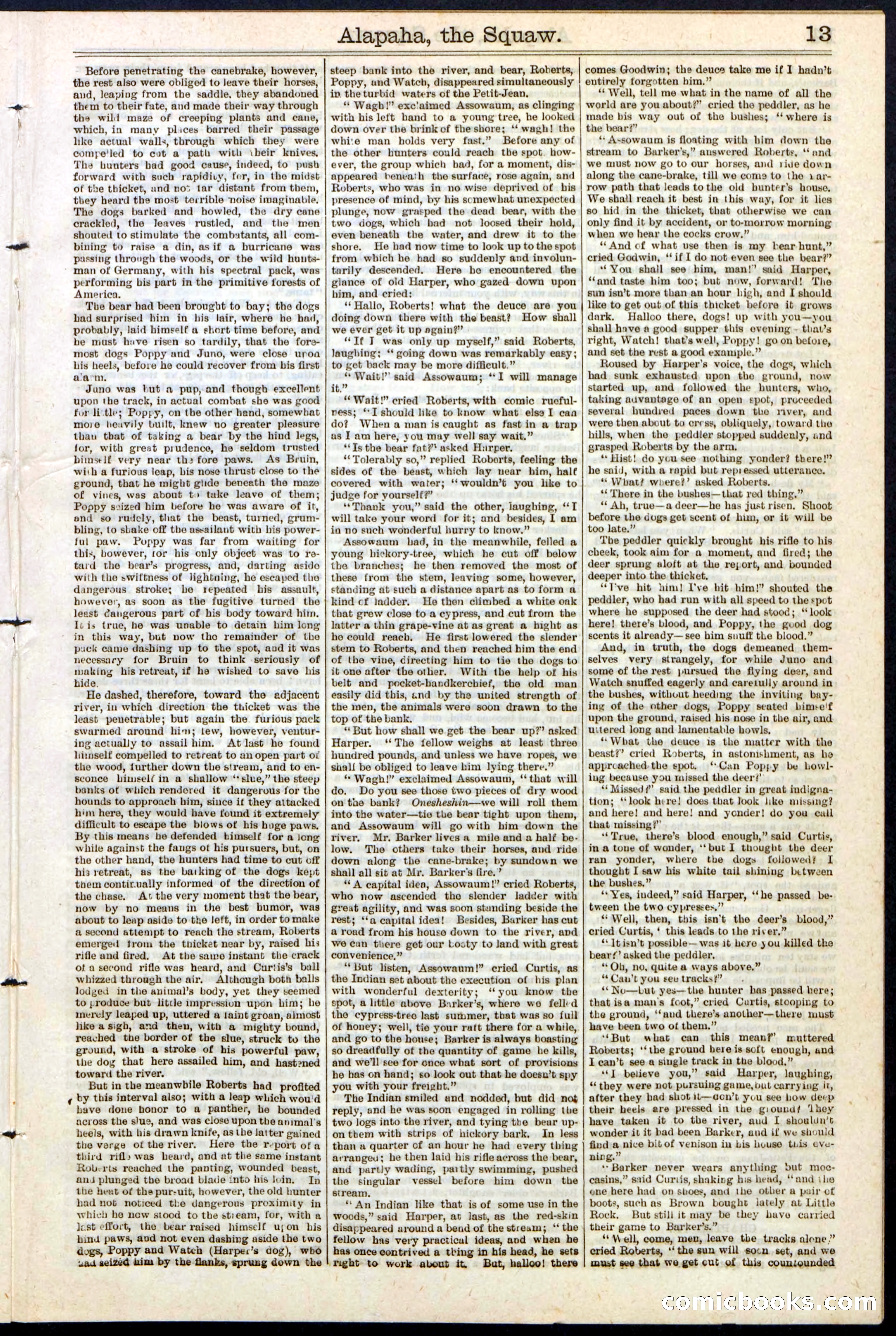Beadle's New York Dime Library No. 123 — page 13 of 24