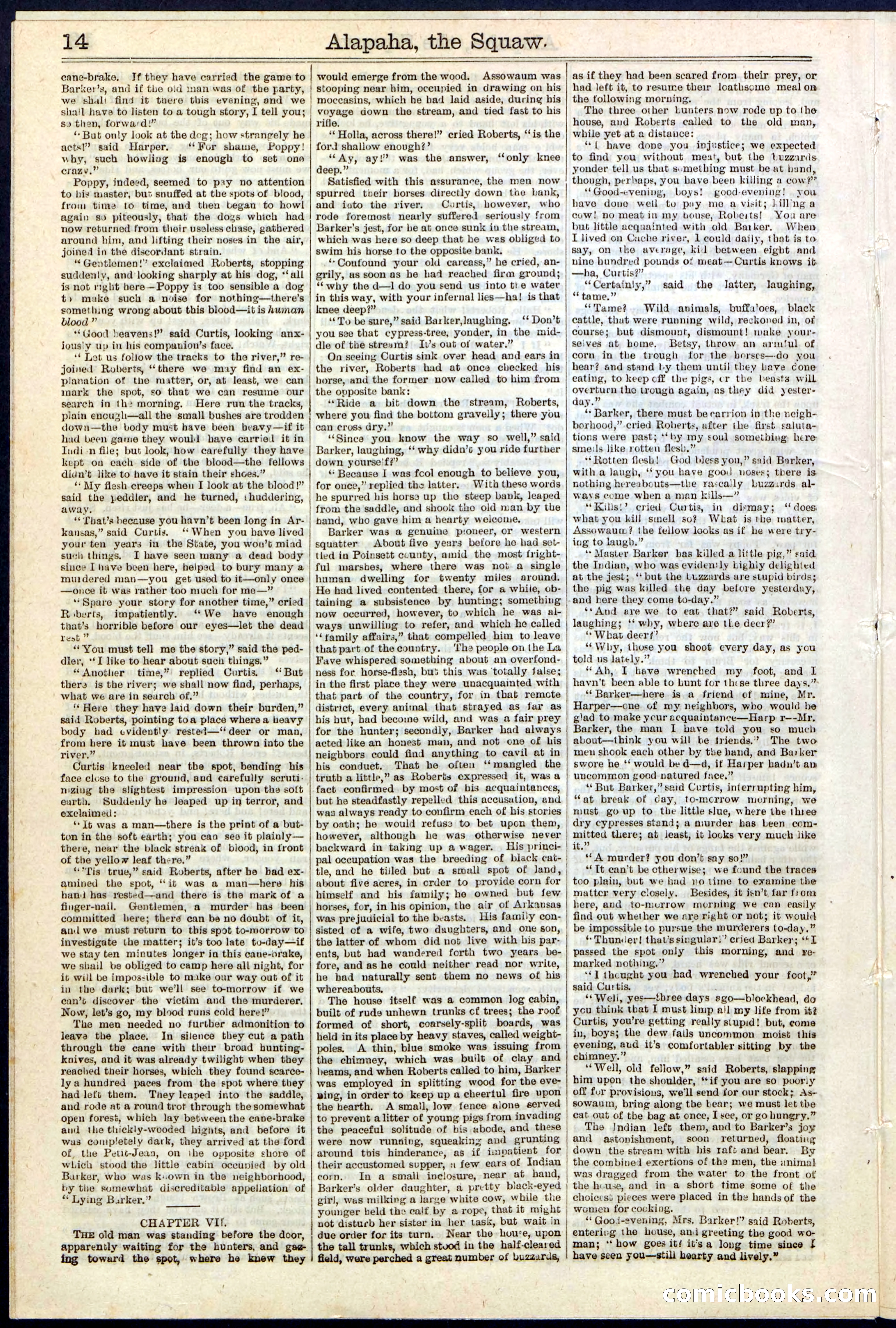 Beadle's New York Dime Library No. 123 — page 14 of 24