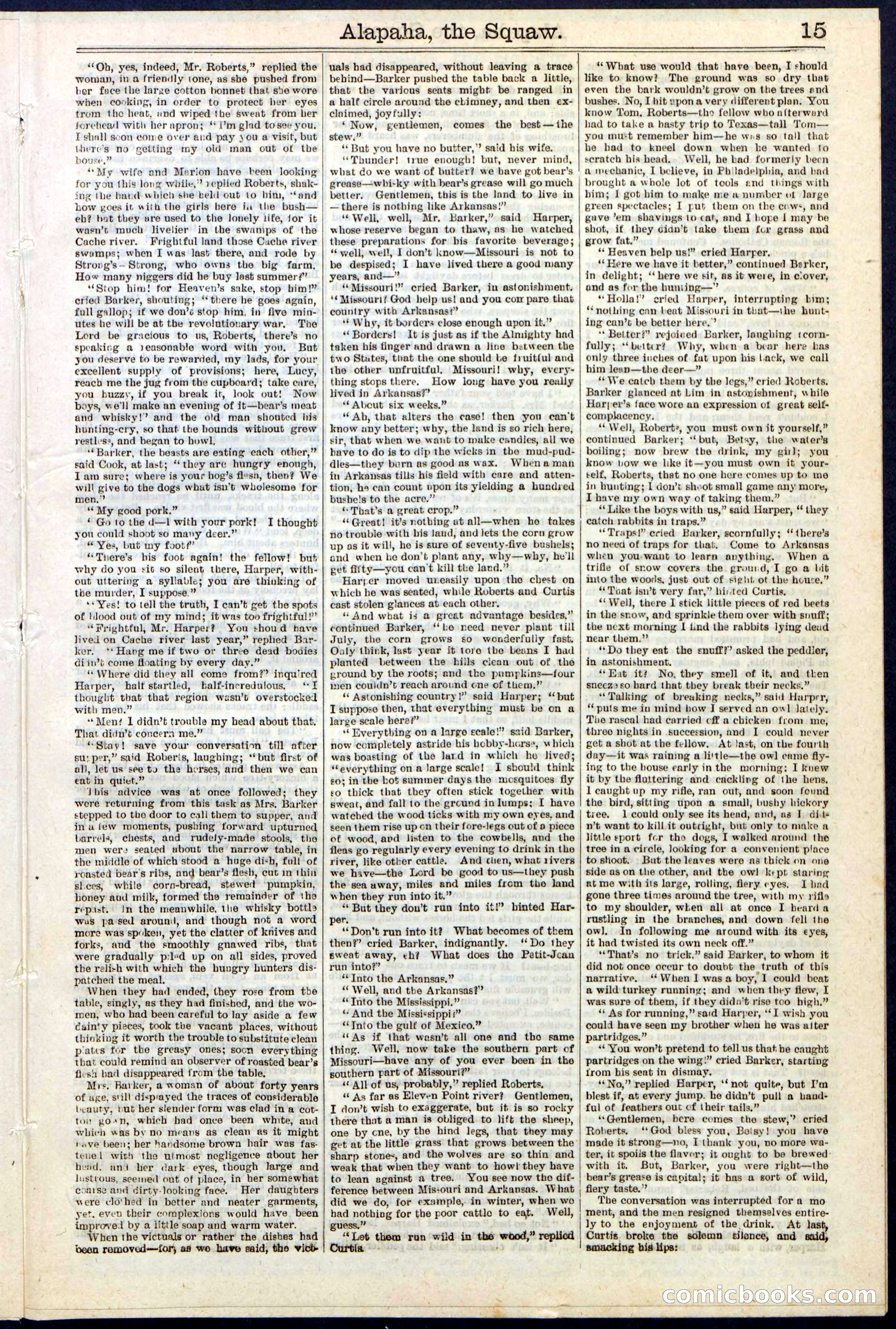 Beadle's New York Dime Library No. 123 — page 15 of 24