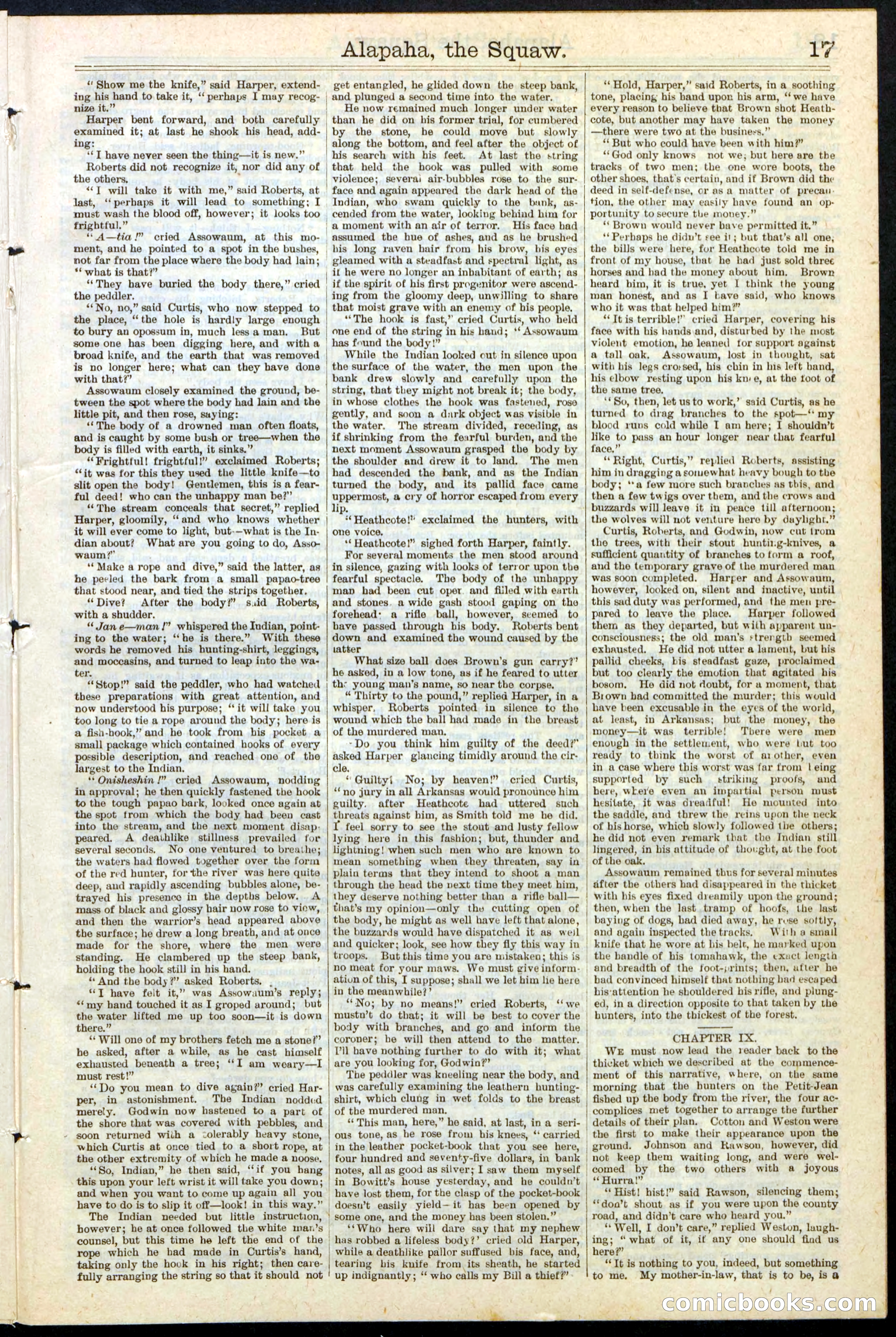 Beadle's New York Dime Library No. 123 — page 17 of 24
