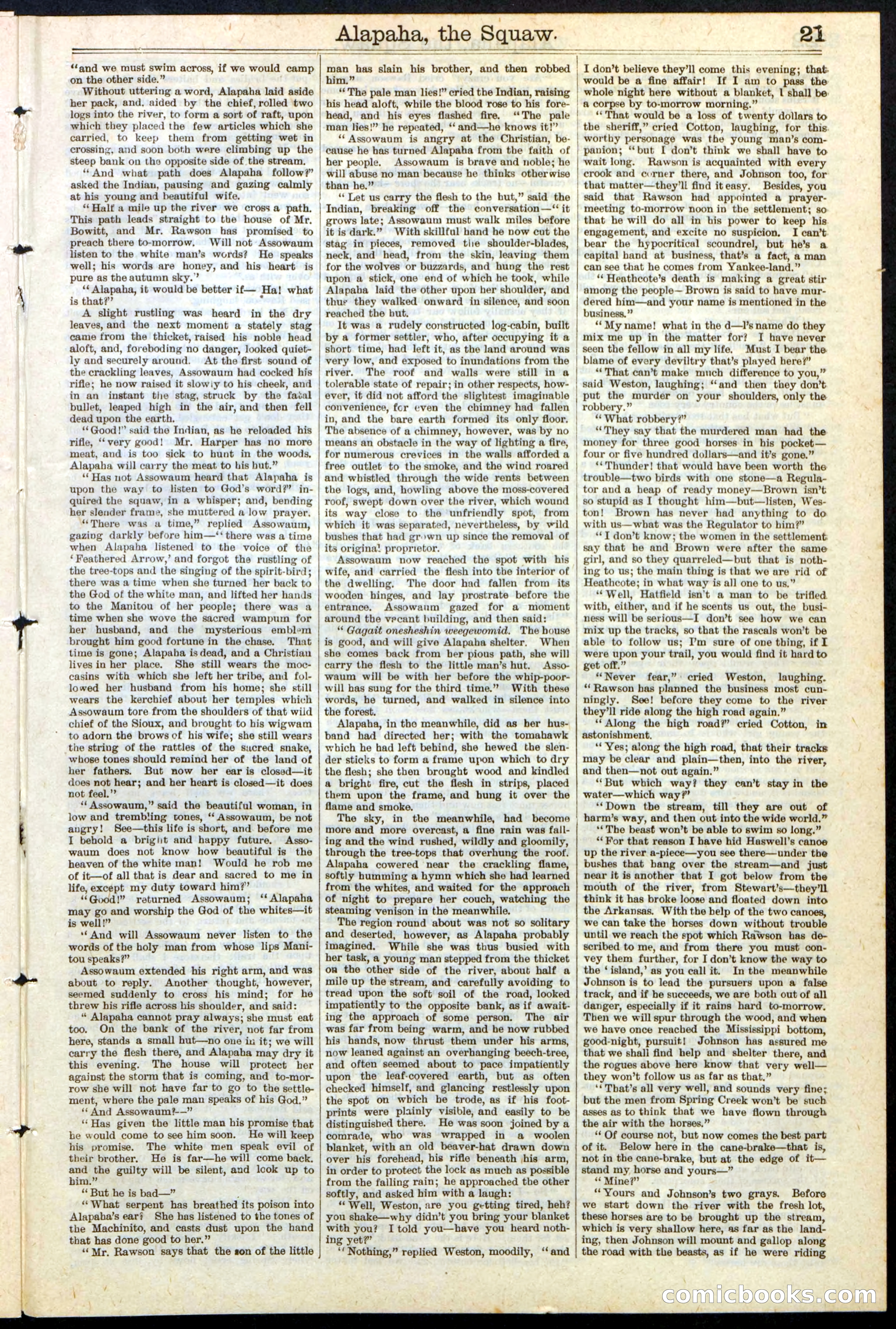 Beadle's New York Dime Library No. 123 — page 21 of 24