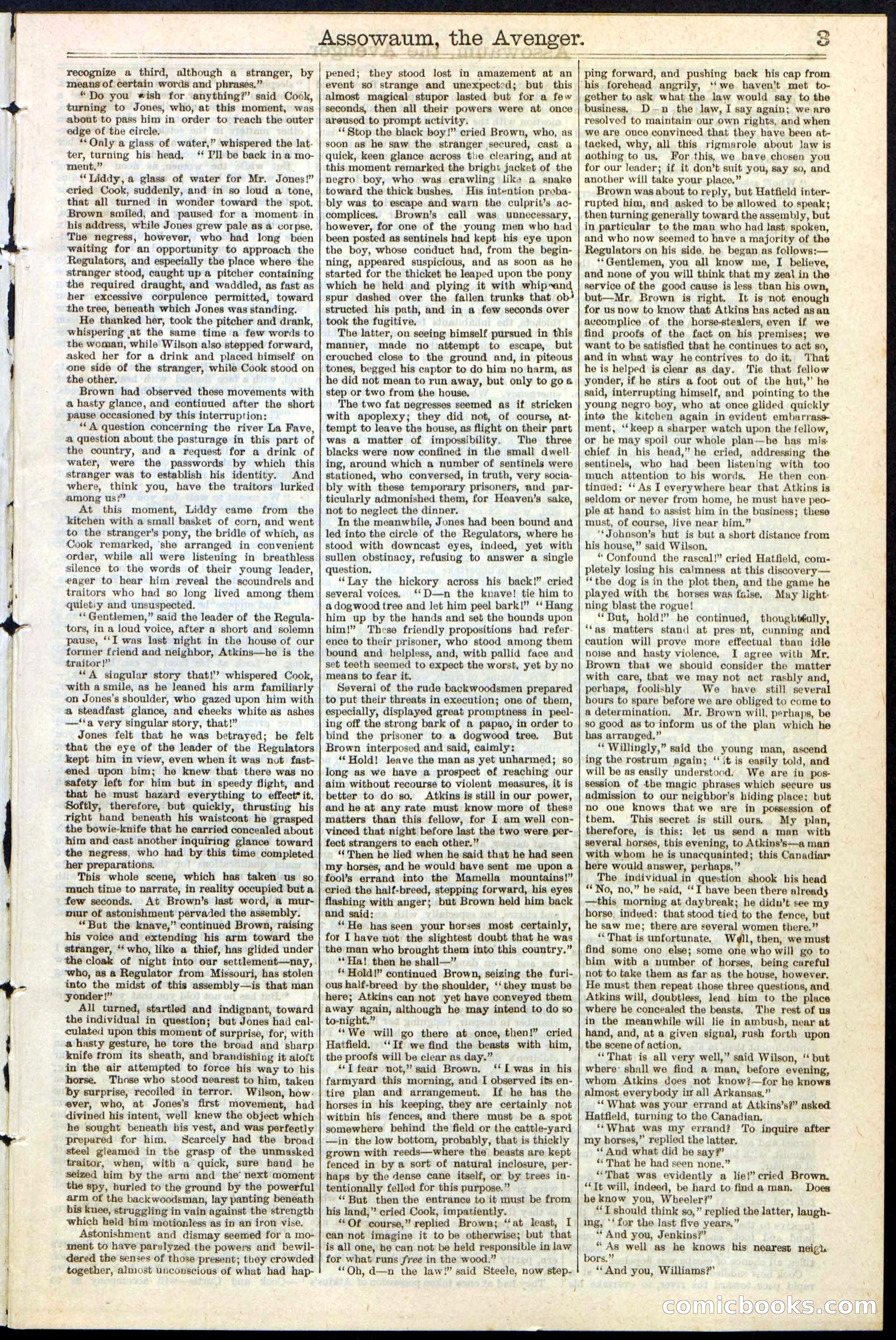 Beadle's New York Dime Library No. 124 — page 3 of 24