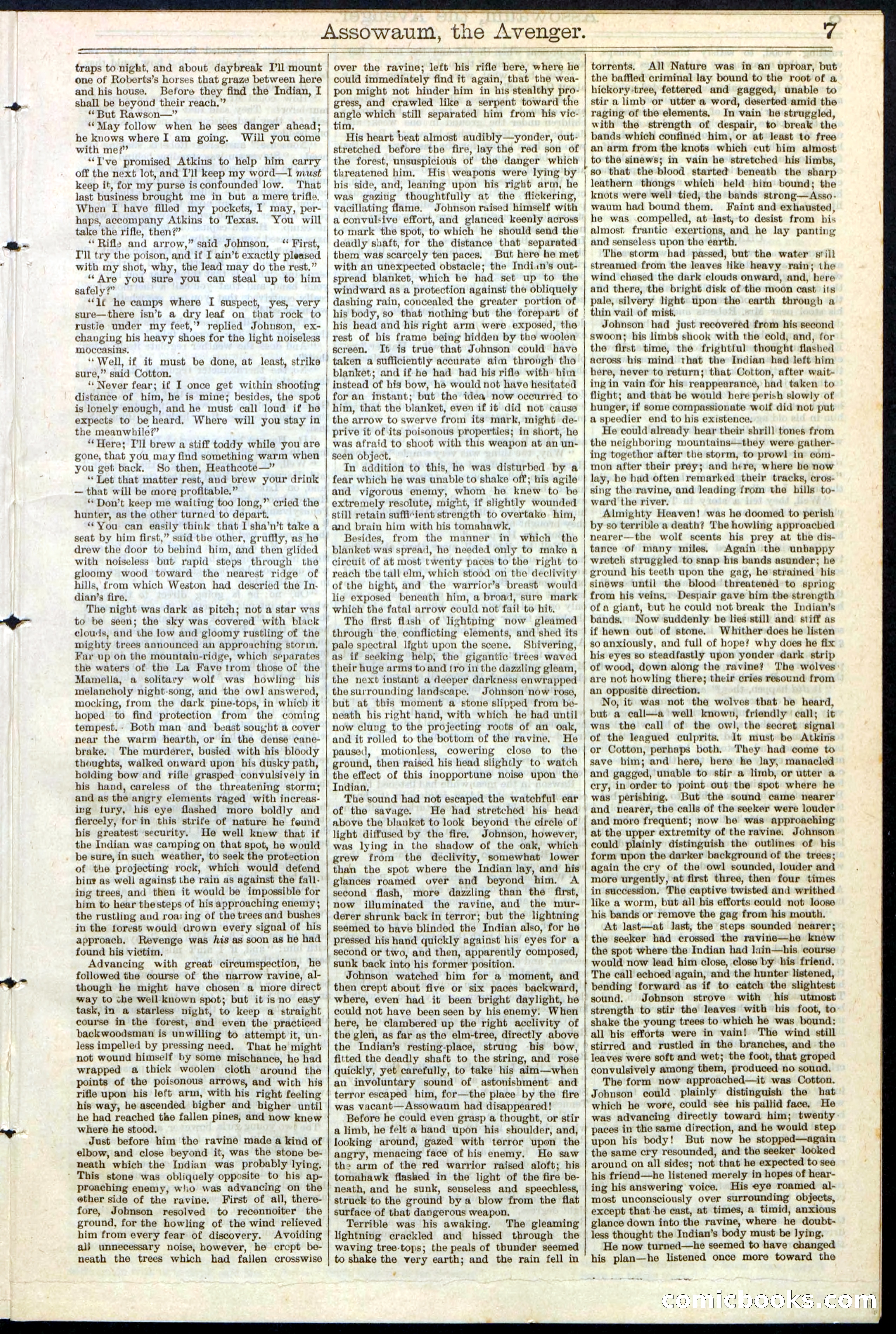 Beadle's New York Dime Library No. 124 — page 7 of 24