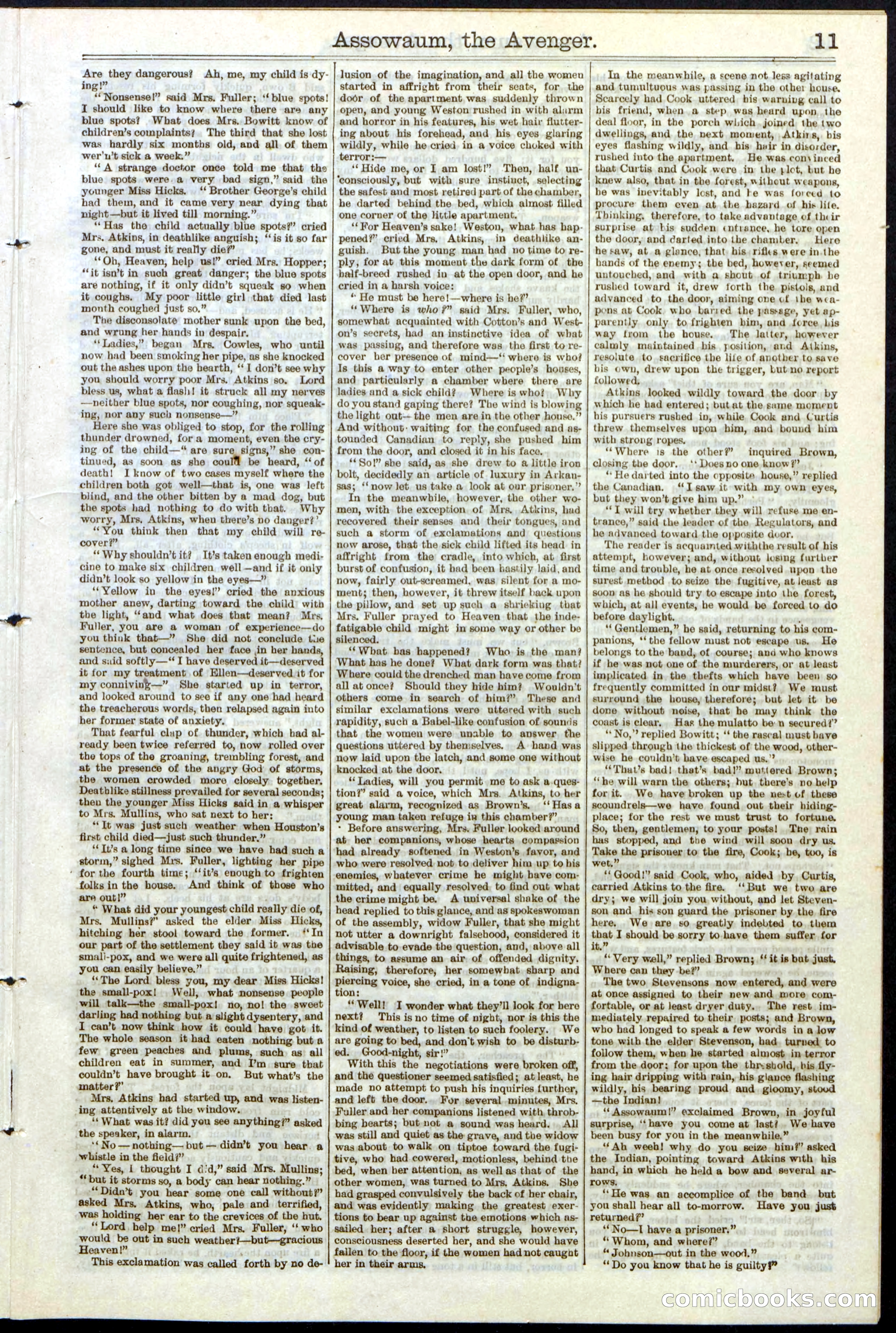 Beadle's New York Dime Library No. 124 — page 11 of 24