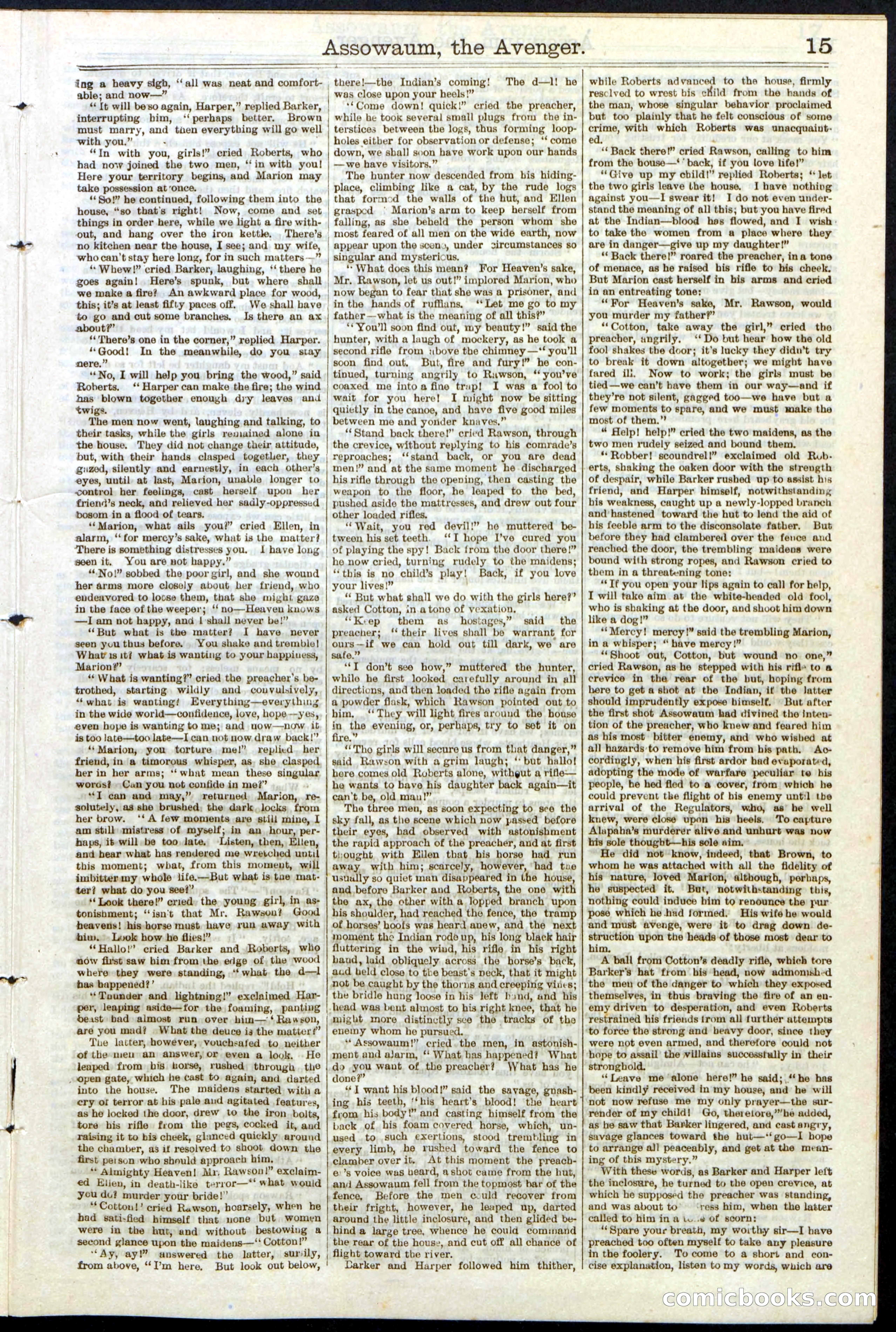 Beadle's New York Dime Library No. 124 — page 15 of 24