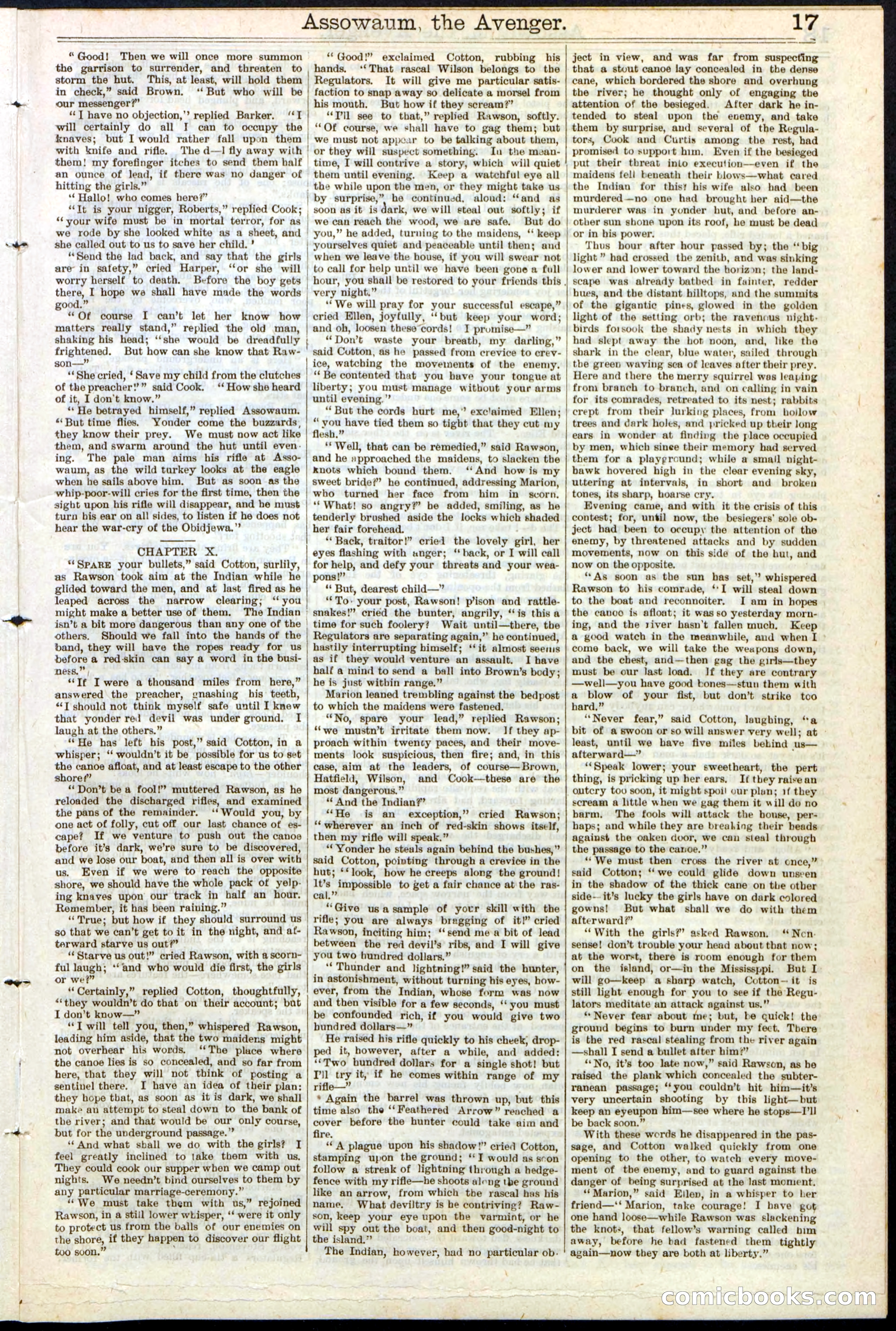 Beadle's New York Dime Library No. 124 — page 17 of 24