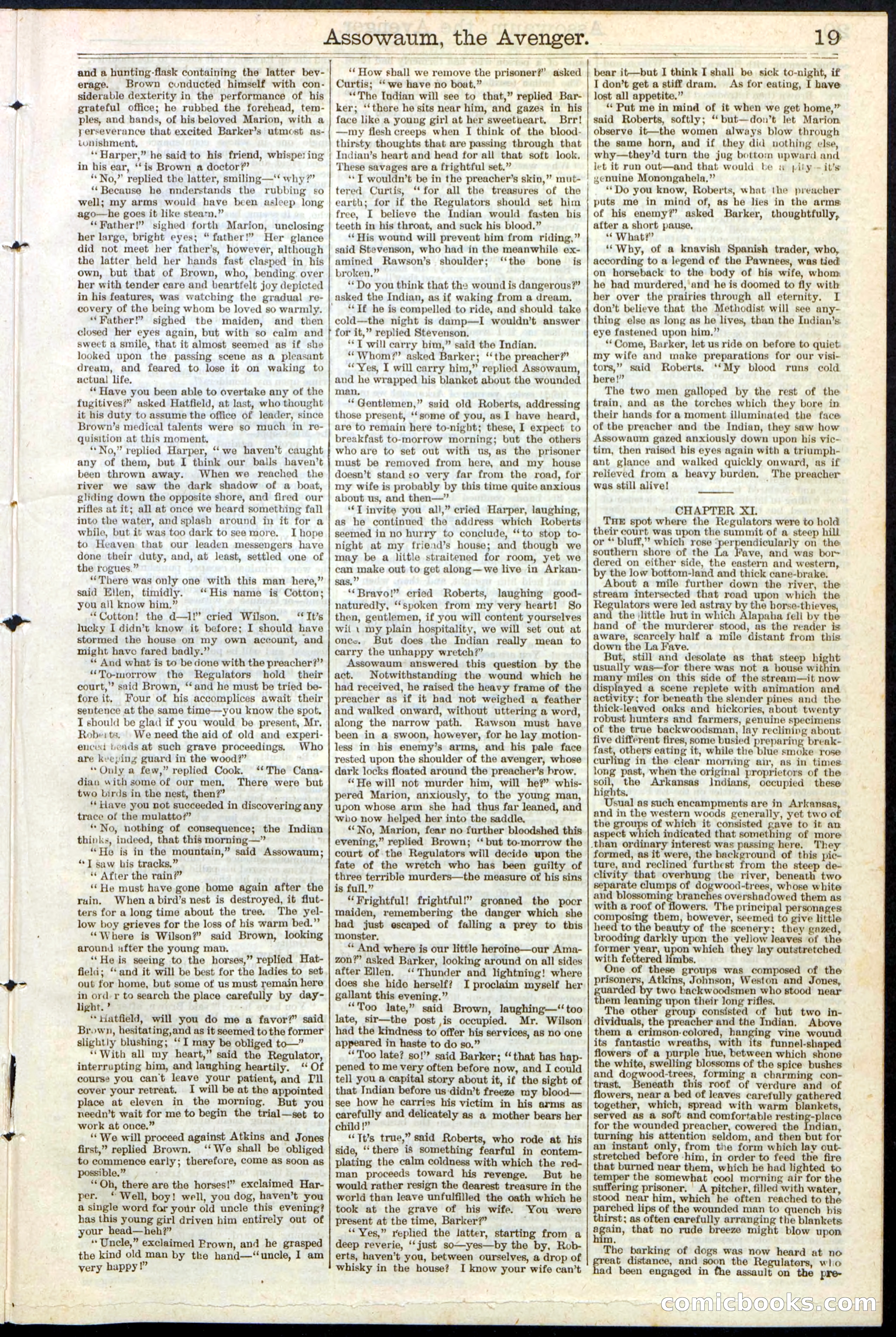 Beadle's New York Dime Library No. 124 — page 19 of 24