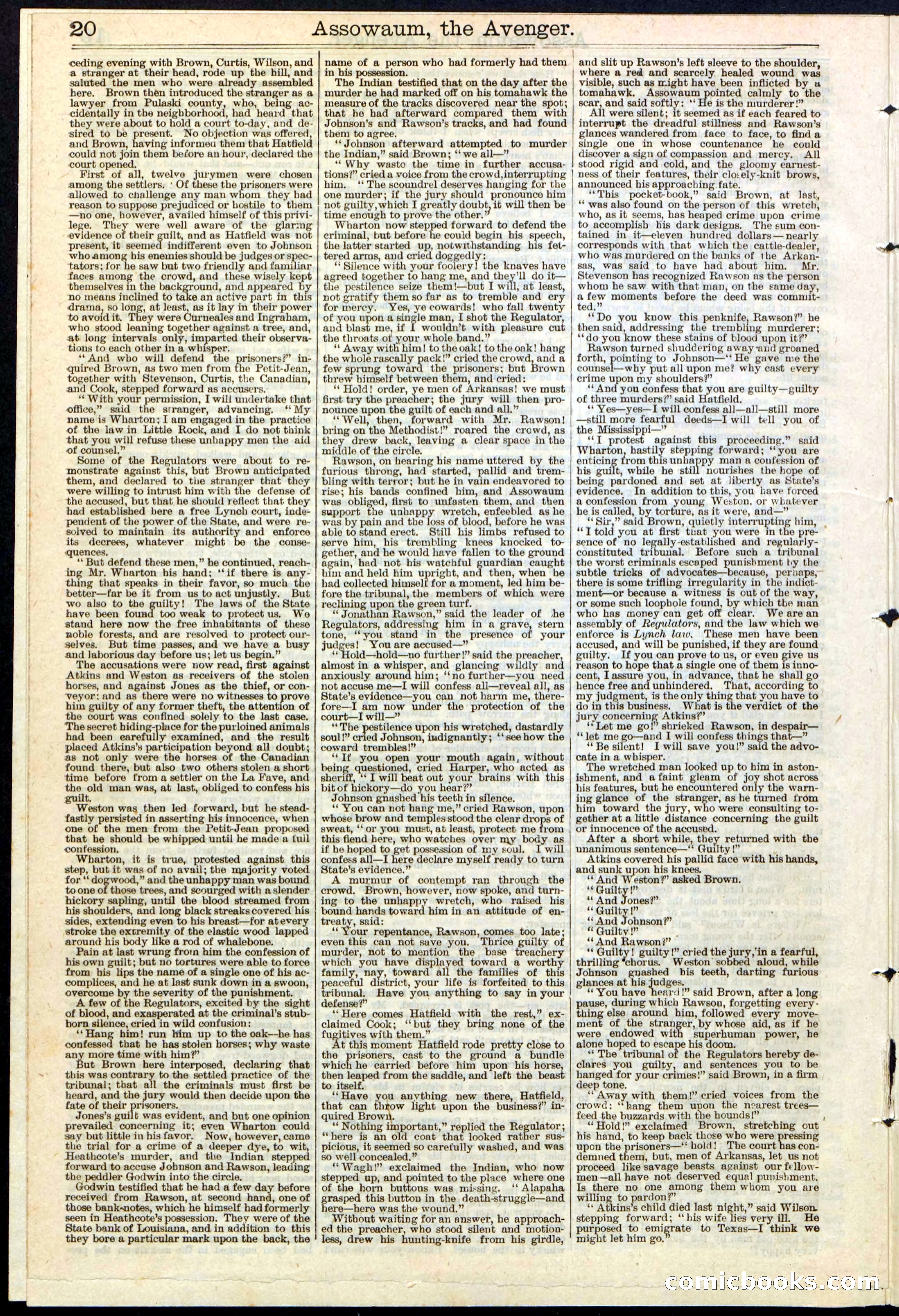 Beadle's New York Dime Library No. 124 — page 20 of 24