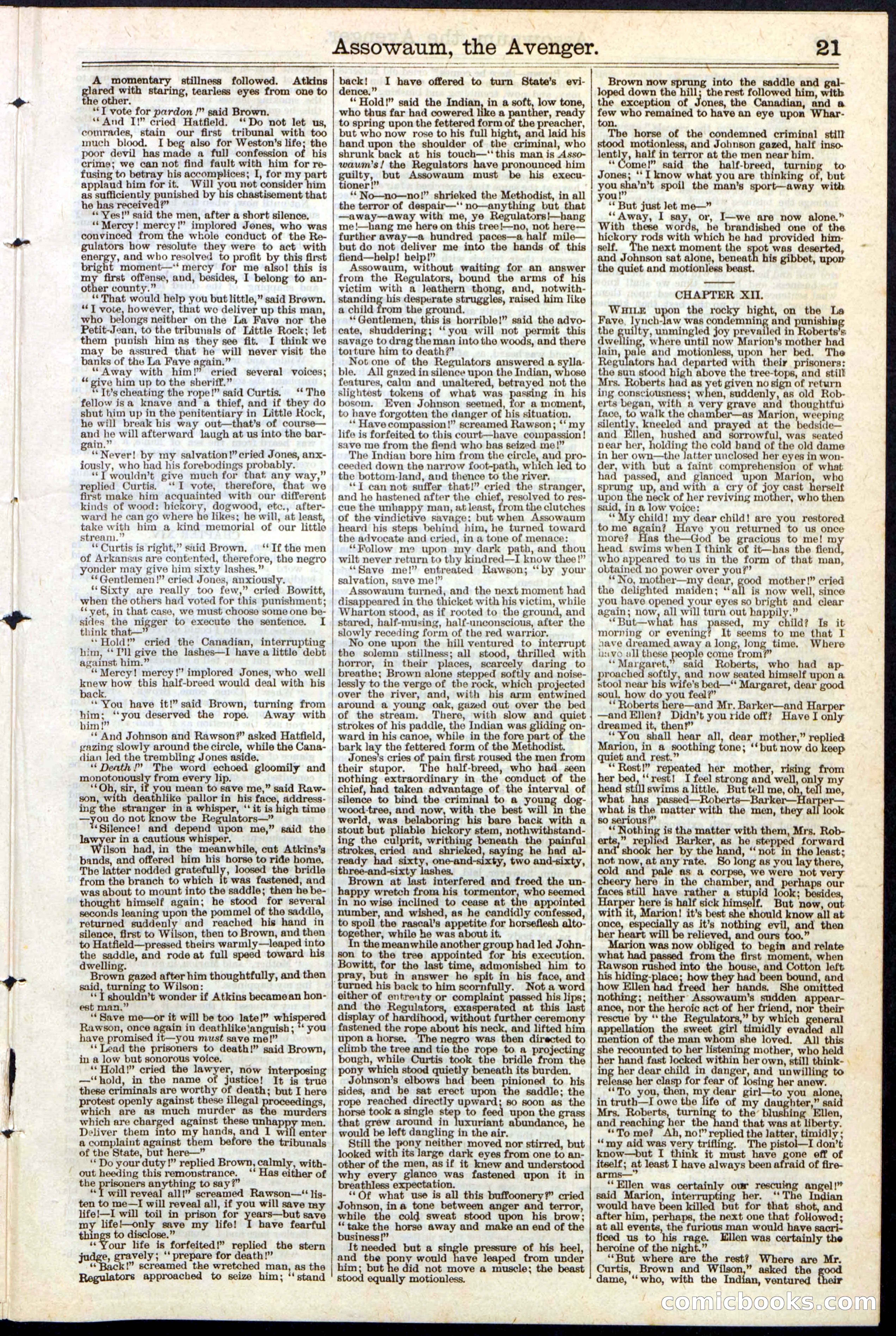 Beadle's New York Dime Library No. 124 — page 21 of 24