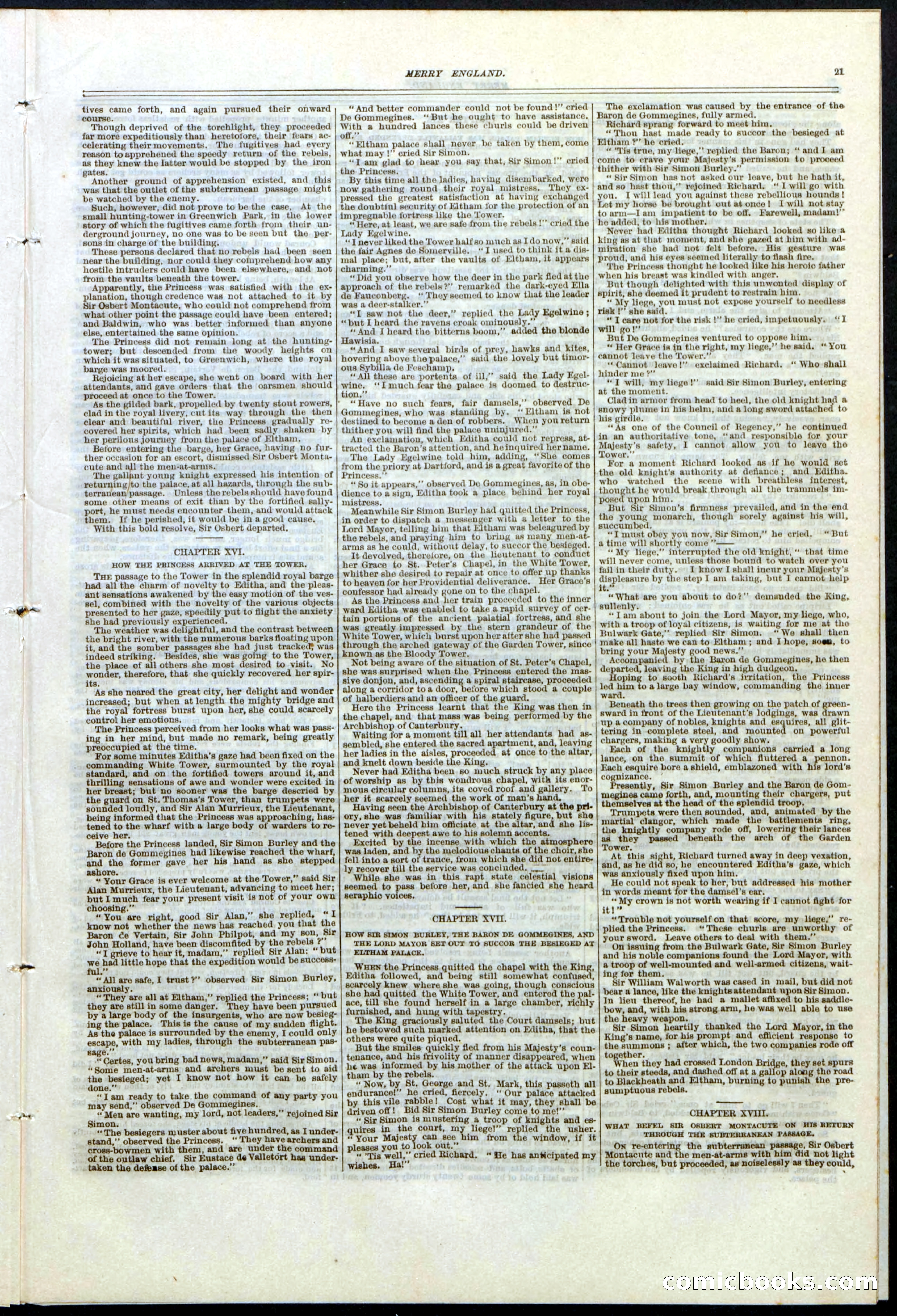 Beadle's New York Dime Library No. 125 — page 21 of 32
