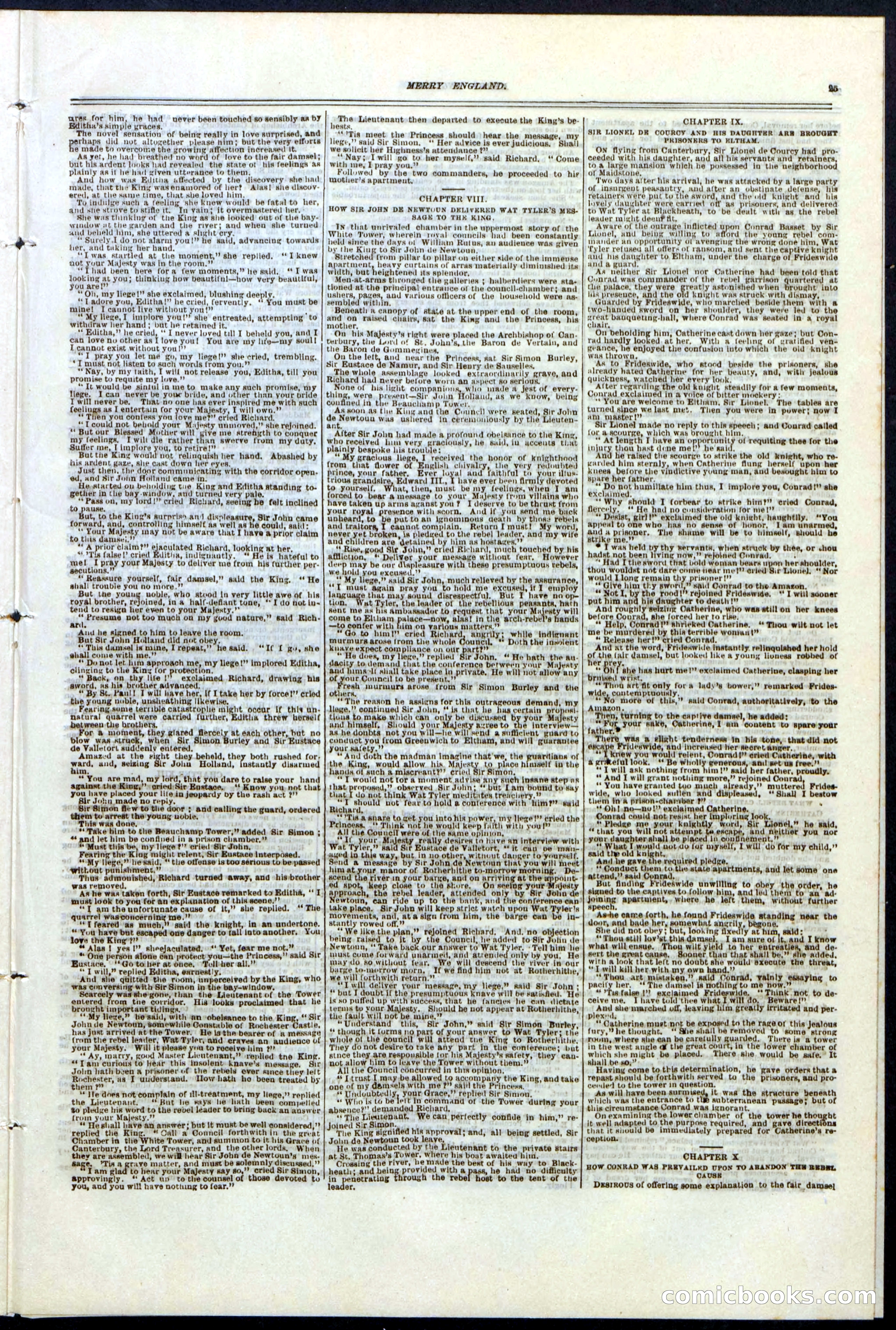Beadle's New York Dime Library No. 125 — page 25 of 32