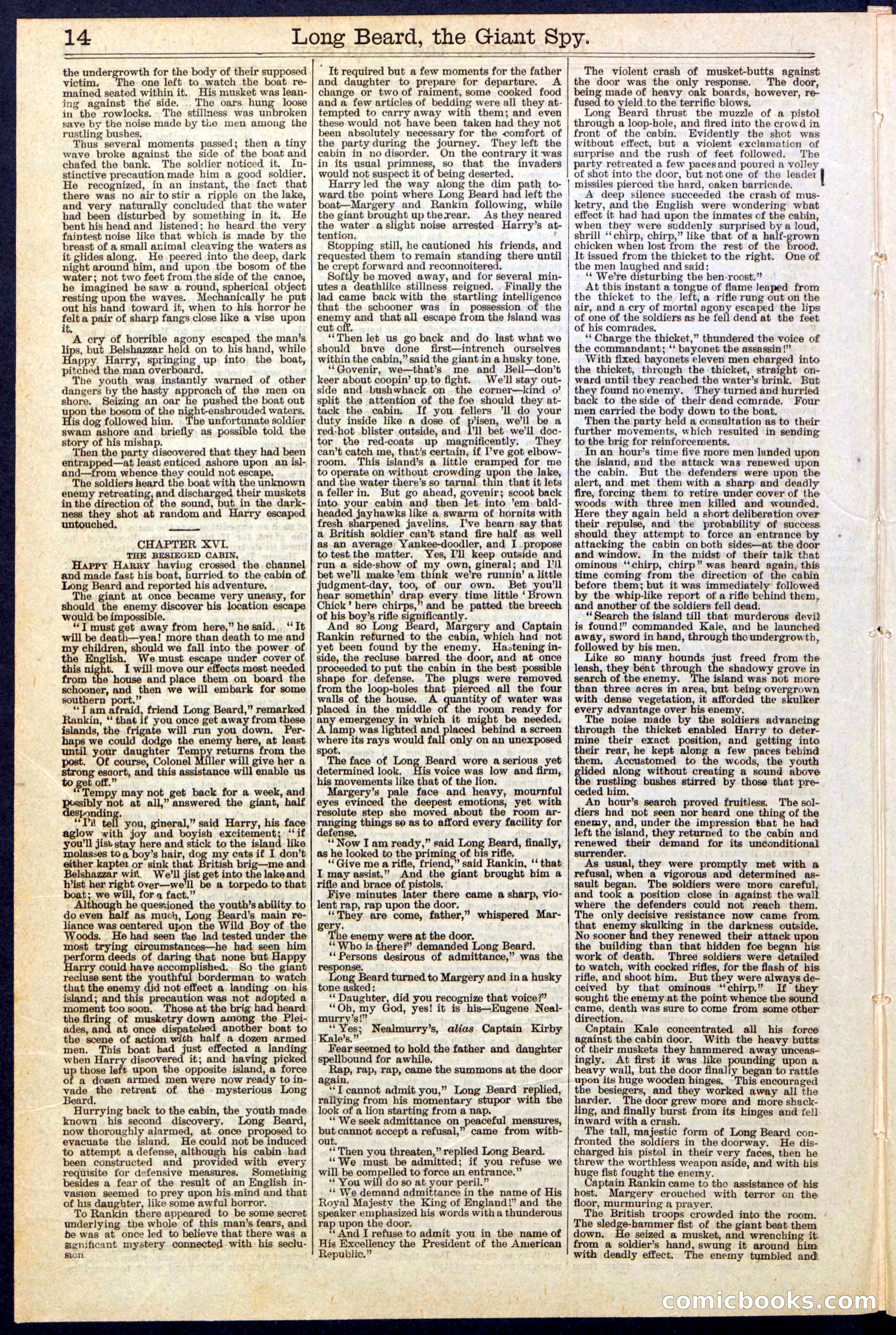 Beadle's New York Dime Library, No. 137 — page 14 of 32