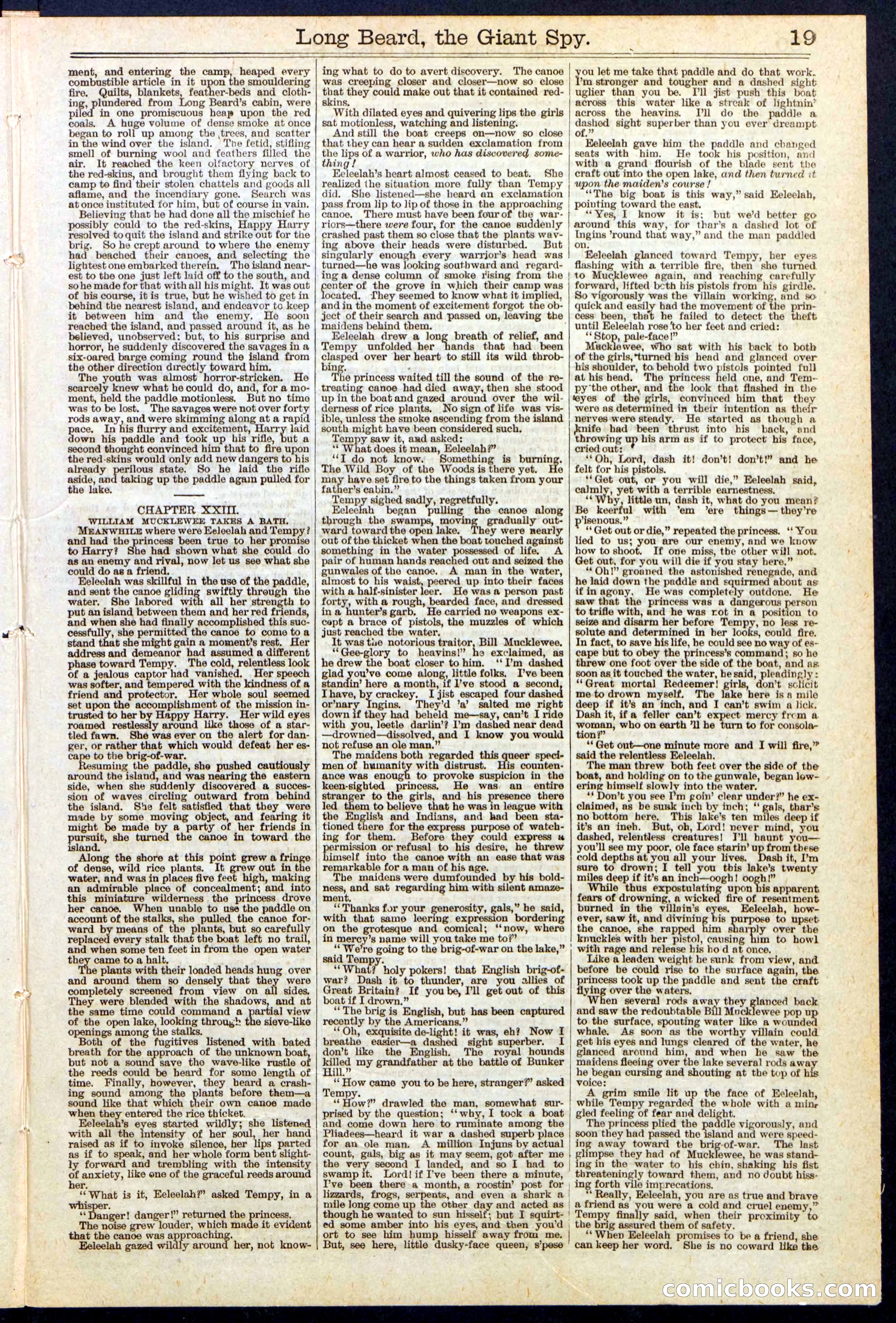Beadle's New York Dime Library, No. 137 — page 19 of 32