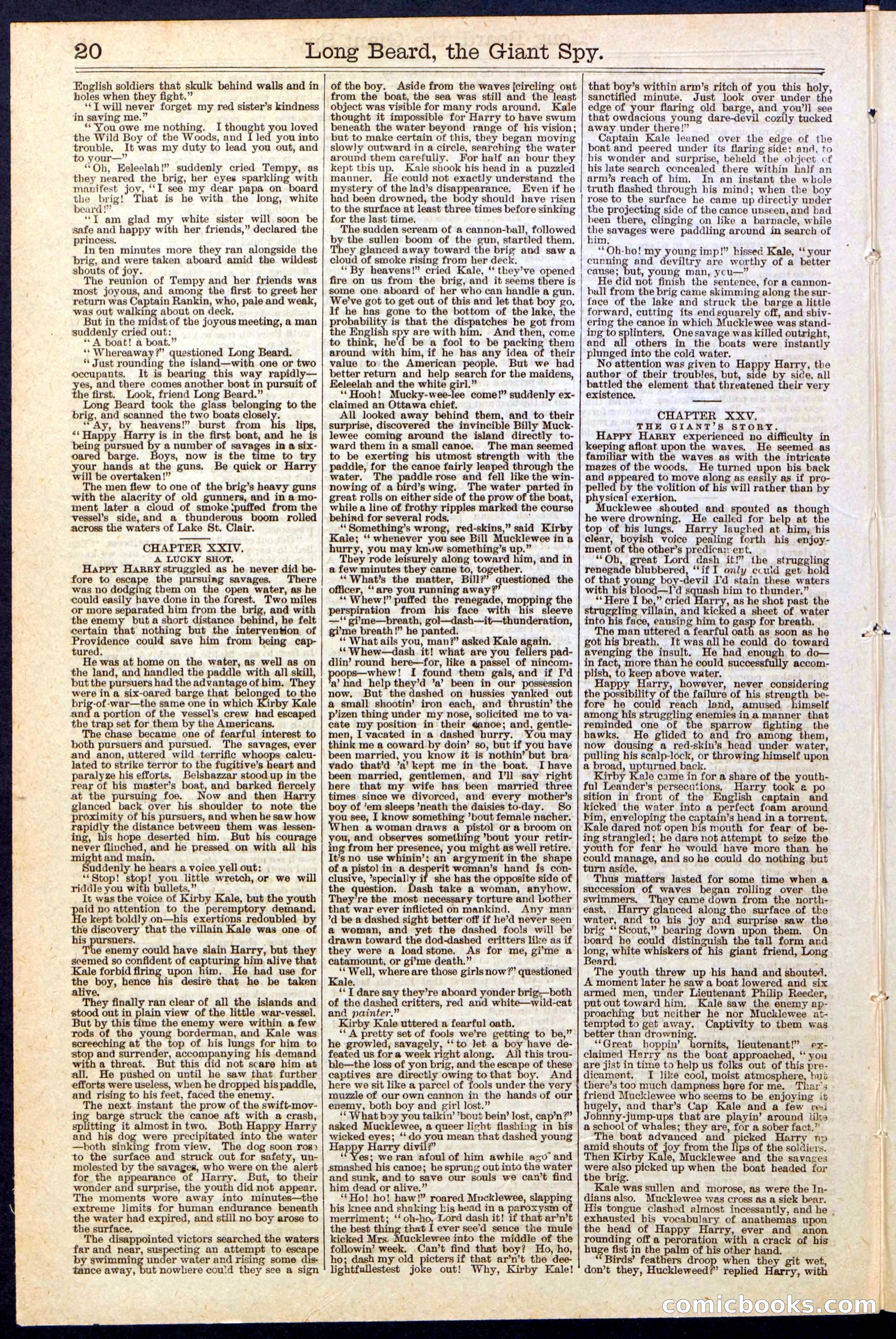 Beadle's New York Dime Library, No. 137 — page 20 of 32