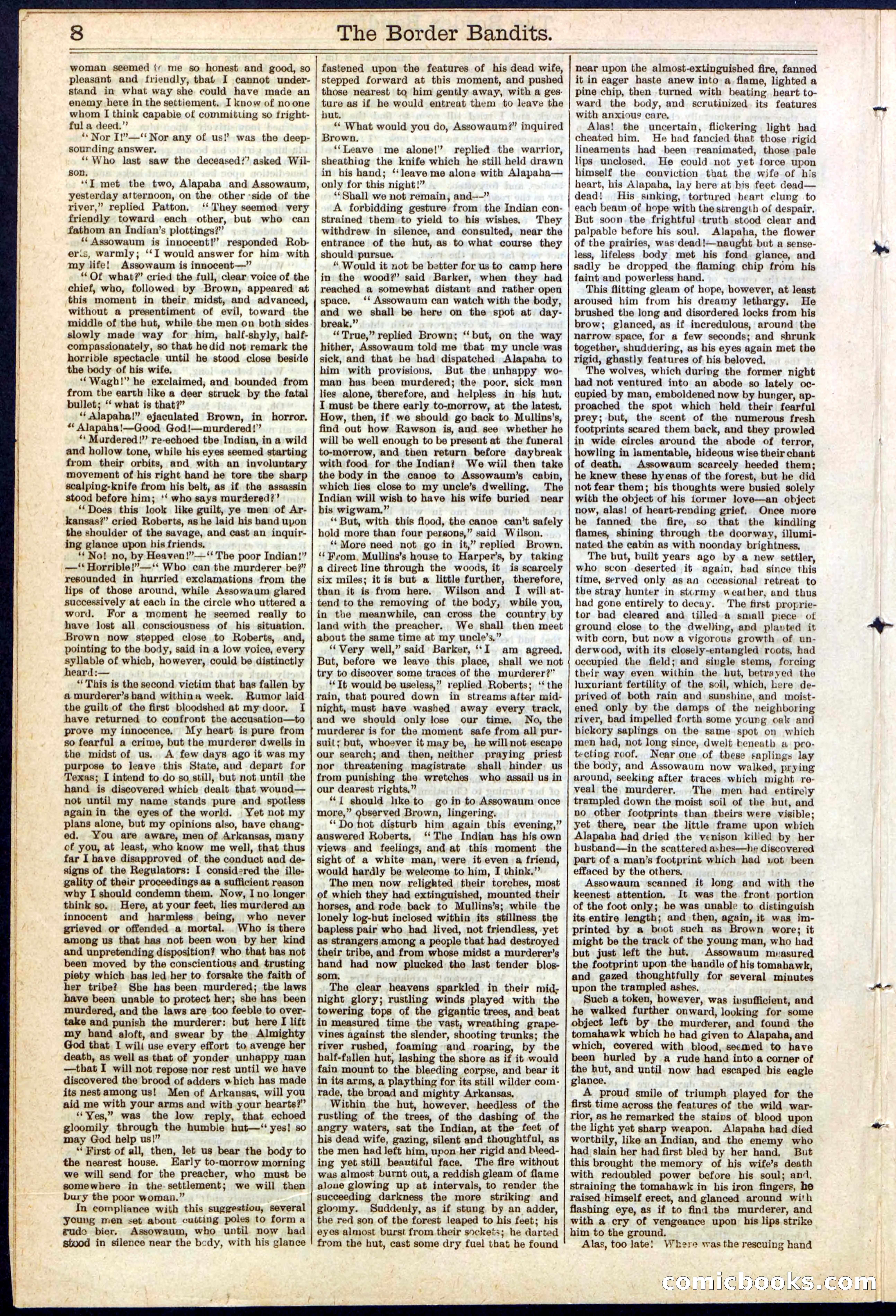 Beadle's New York Dime Library, No. 138 — page 8 of 24