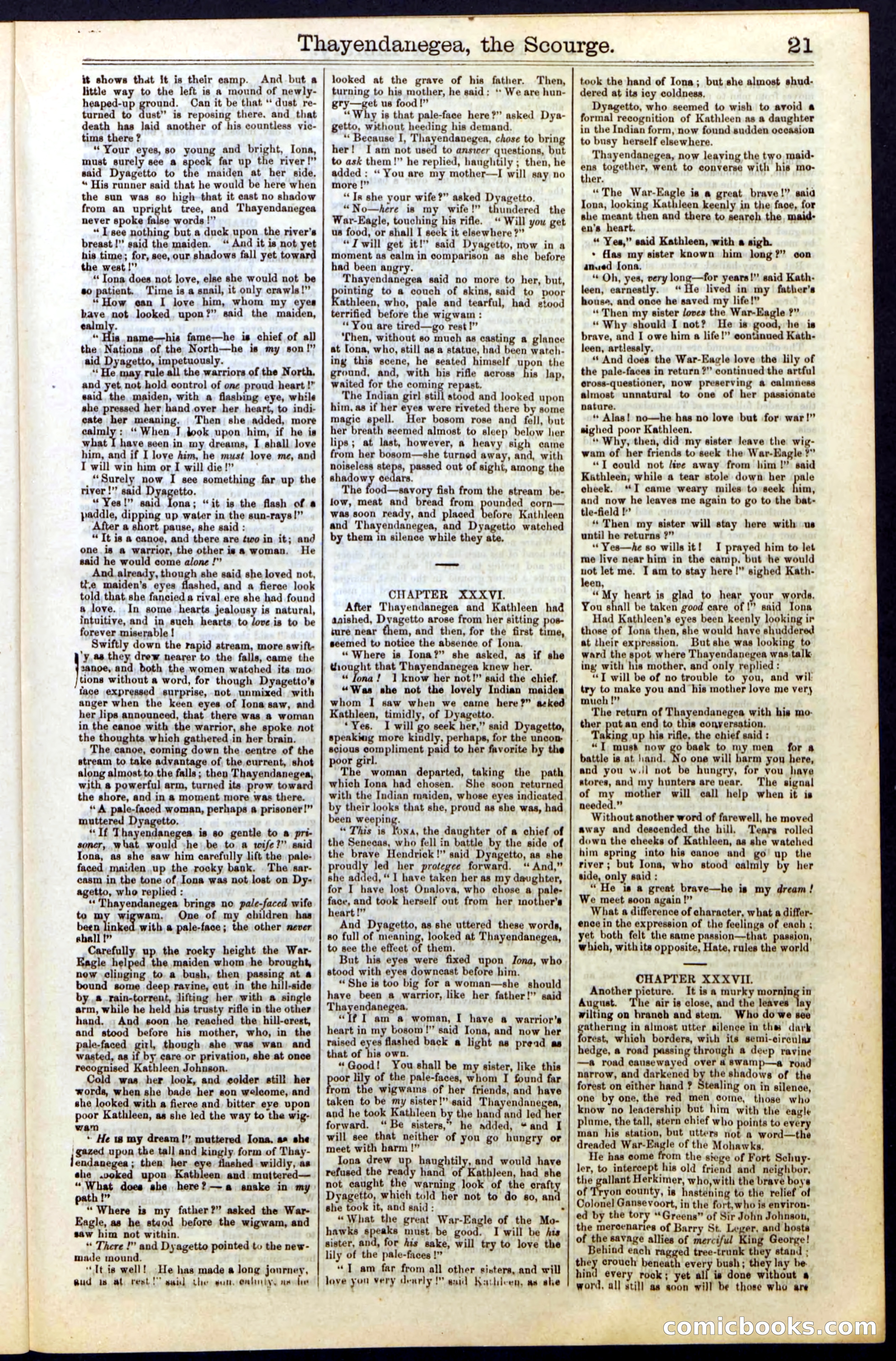 Beadle's Dime Library, Vol. II, No. 14 — page 21 of 28