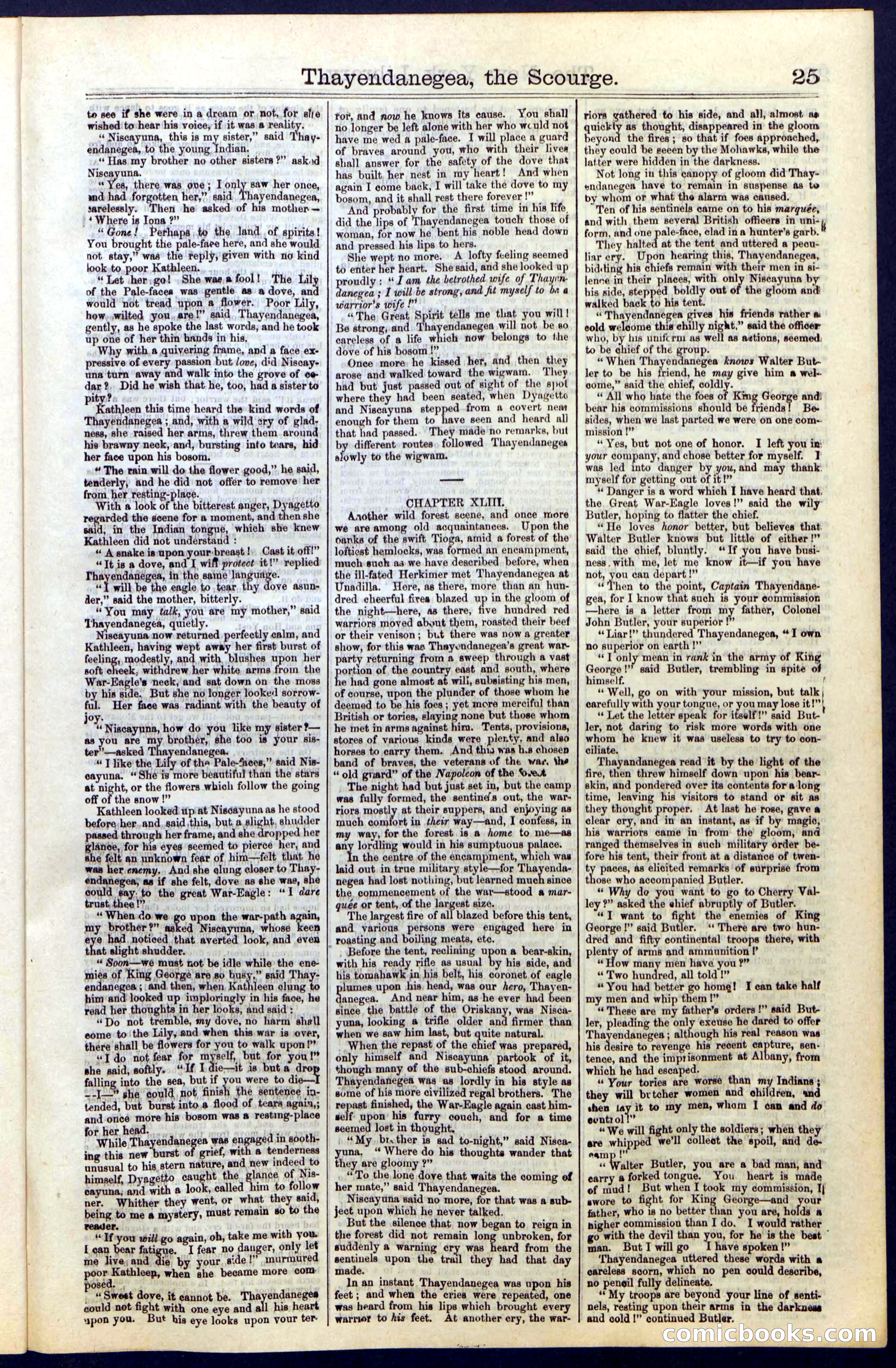 Beadle's Dime Library, Vol. II, No. 14 — page 25 of 28