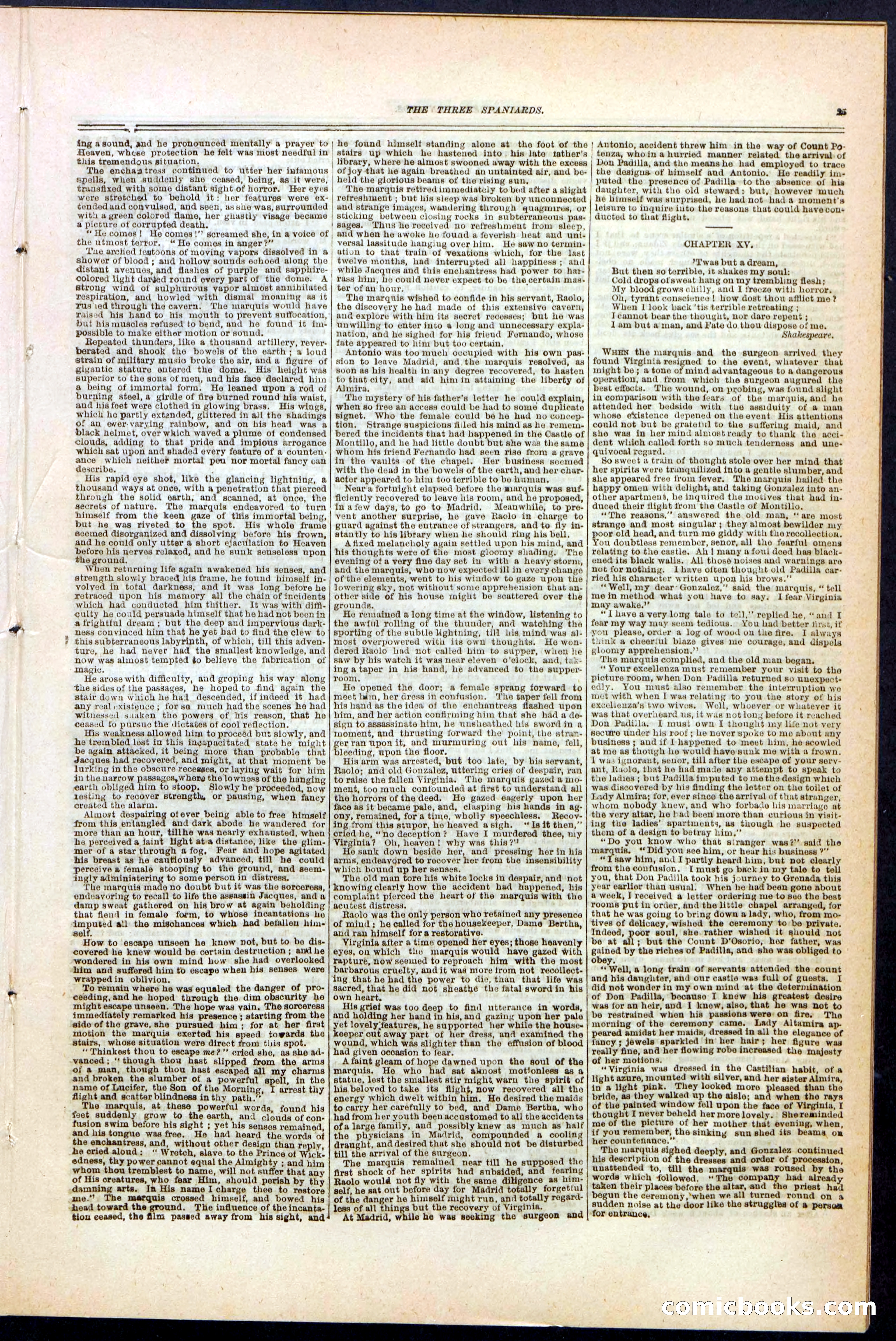 Beadle's New York Dime Library No. 140 — page 25 of 48