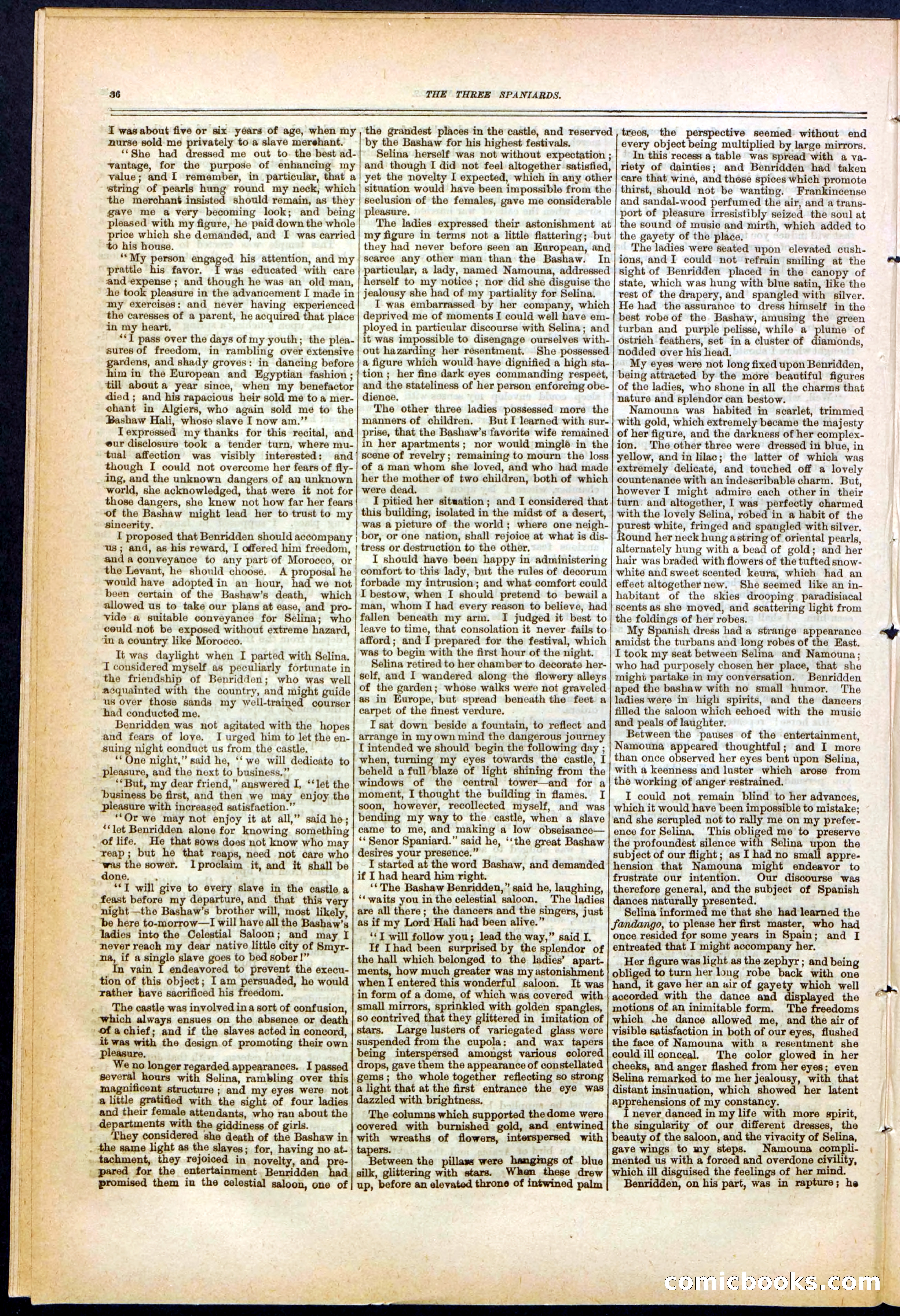 Beadle's New York Dime Library No. 140 — page 36 of 48