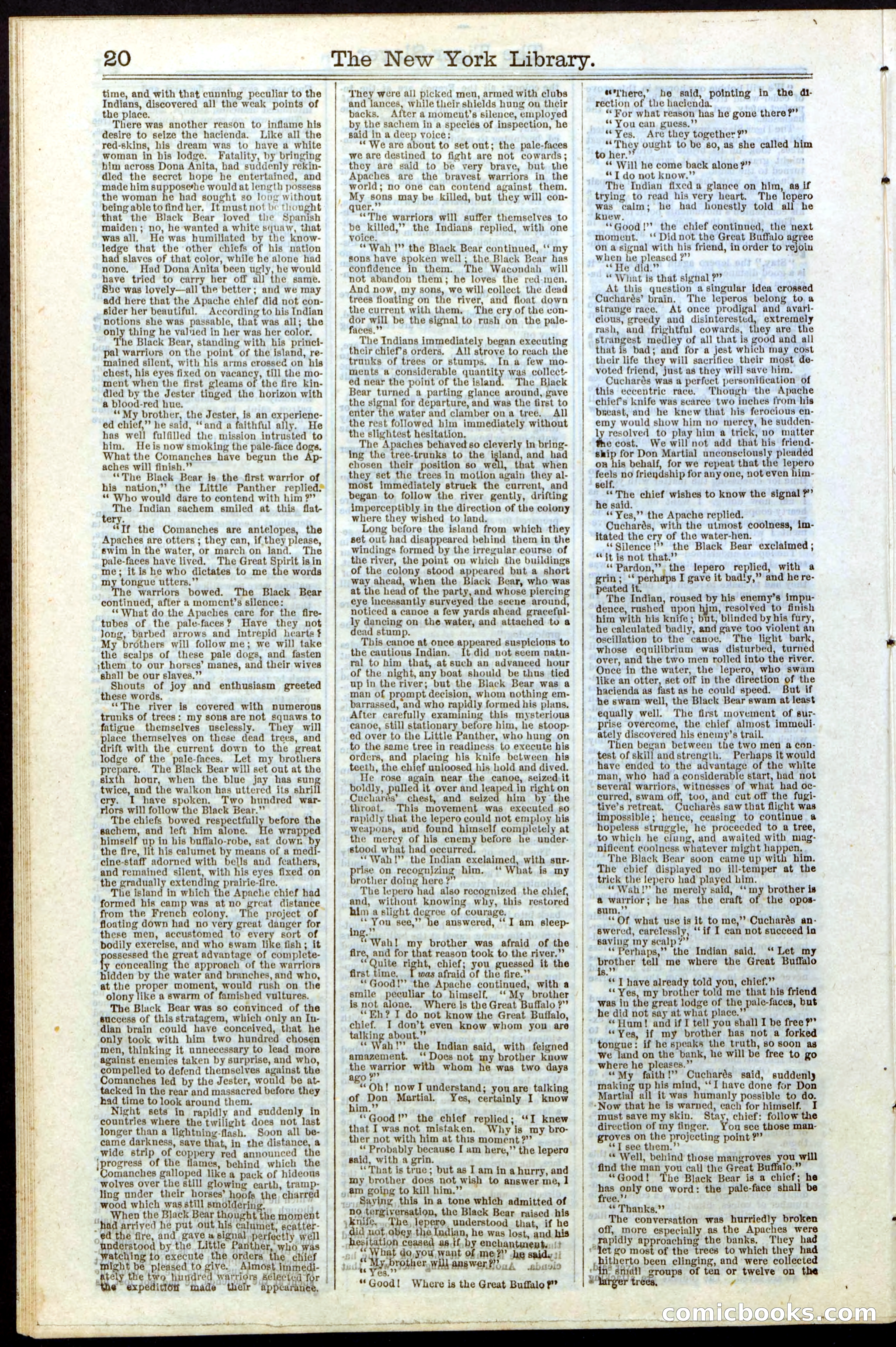 Beadle's New York Dime Library, Vol. II, No. 15 — page 20 of 40