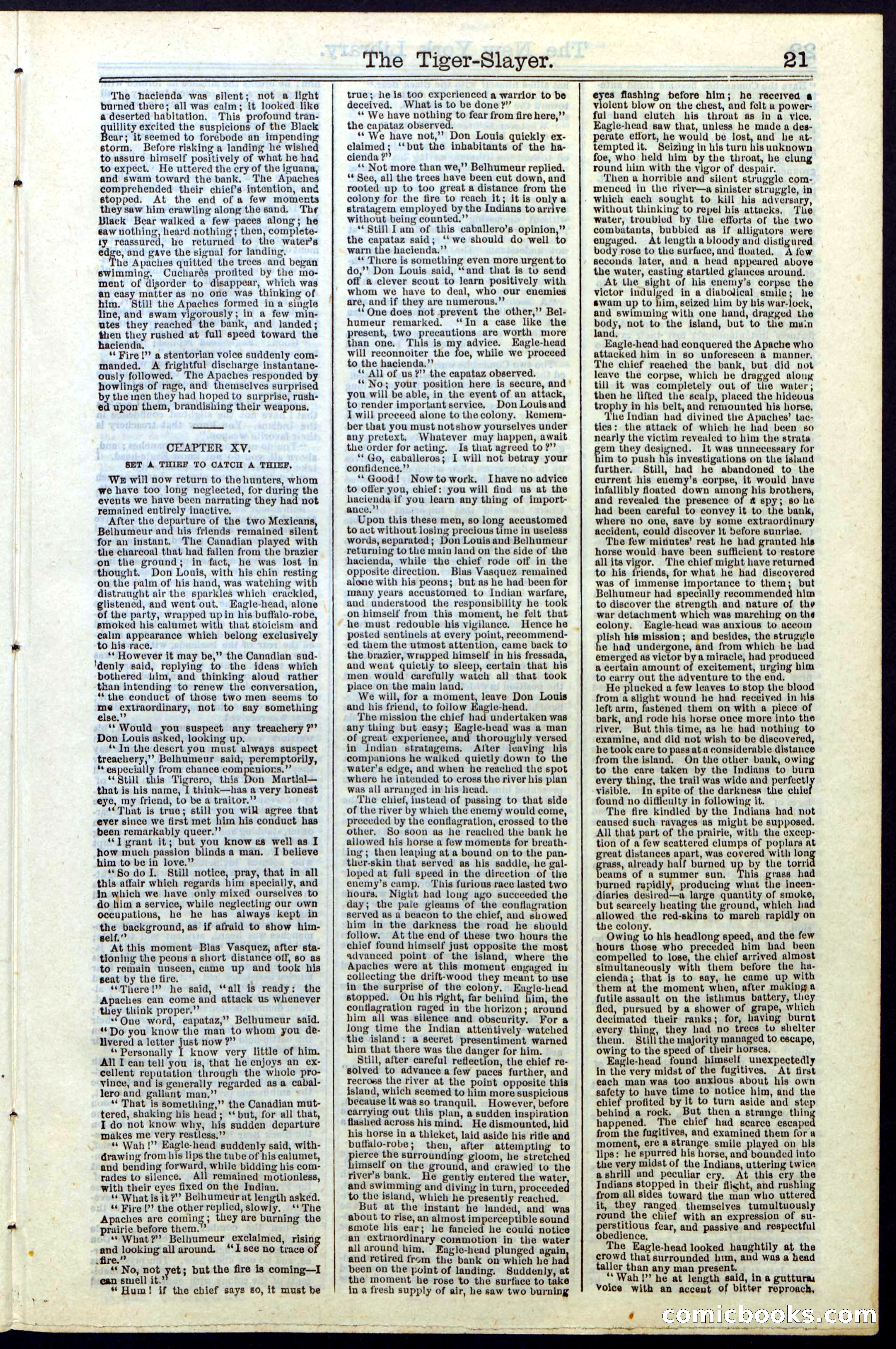 Beadle's New York Dime Library, Vol. II, No. 15 — page 21 of 40