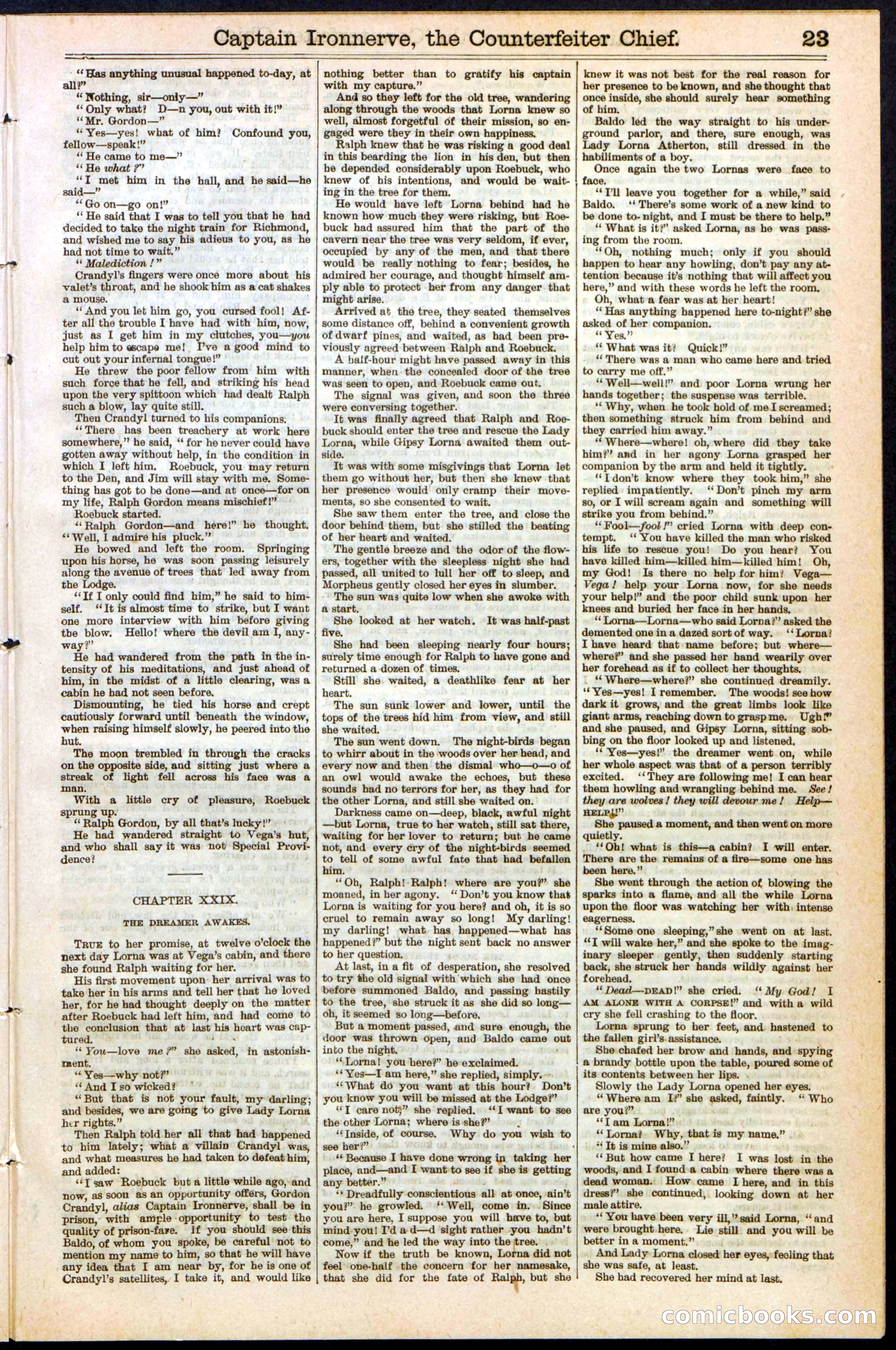 Beadle's Dime Library No. 152 — page 23 of 32