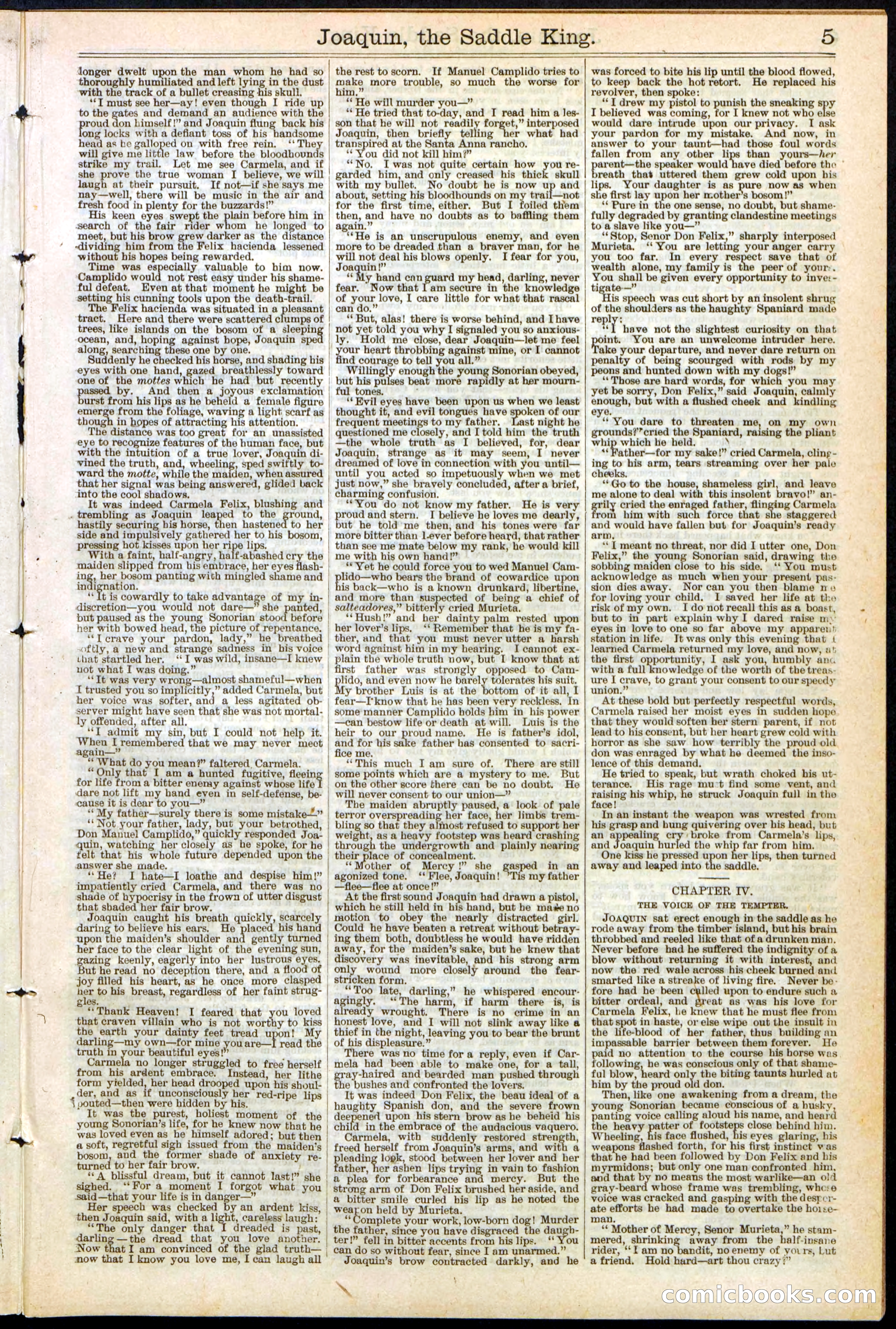 Beadle's New York Dime Library No. 154 — page 5 of 32