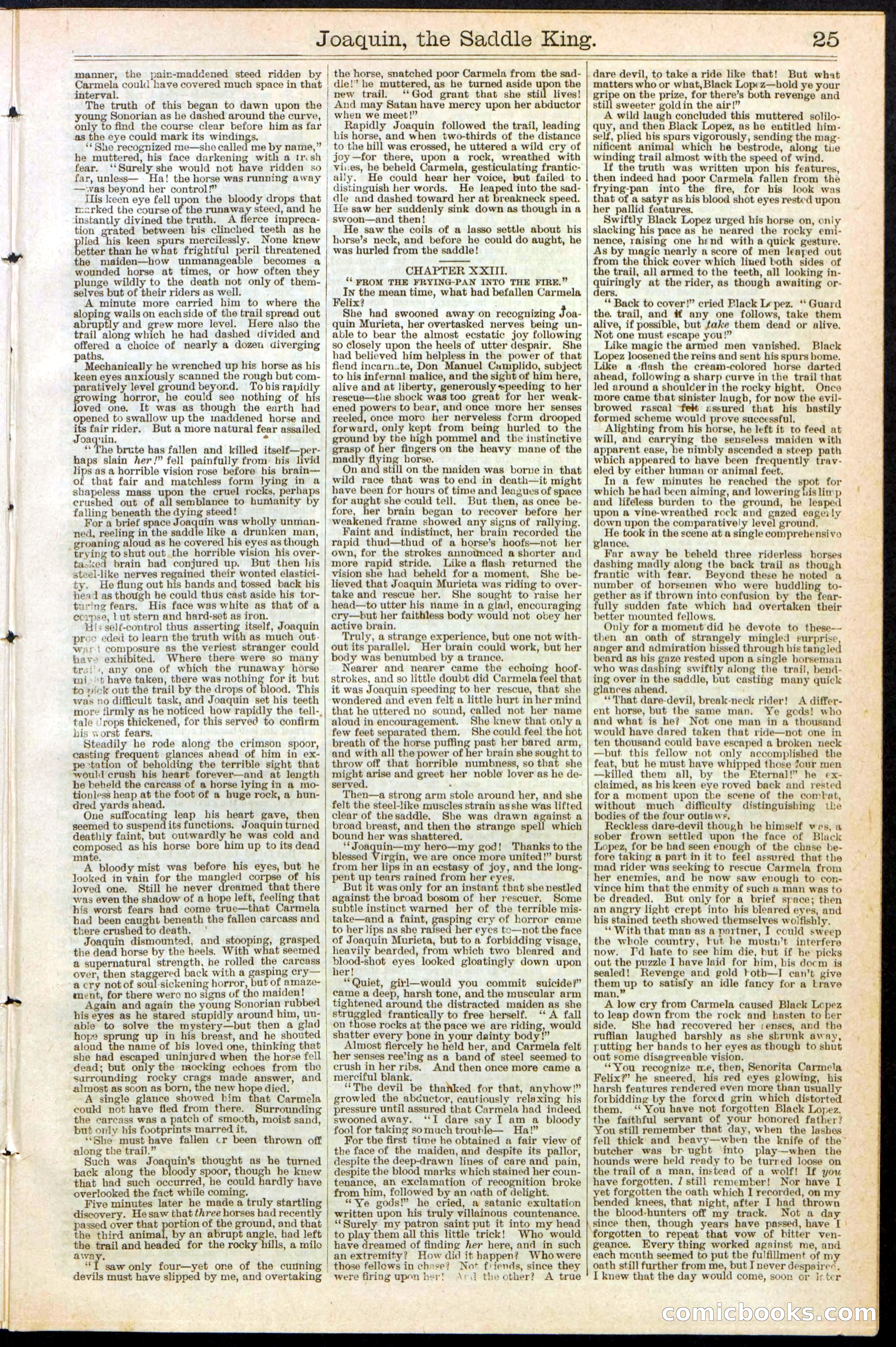 Beadle's New York Dime Library No. 154 — page 25 of 32