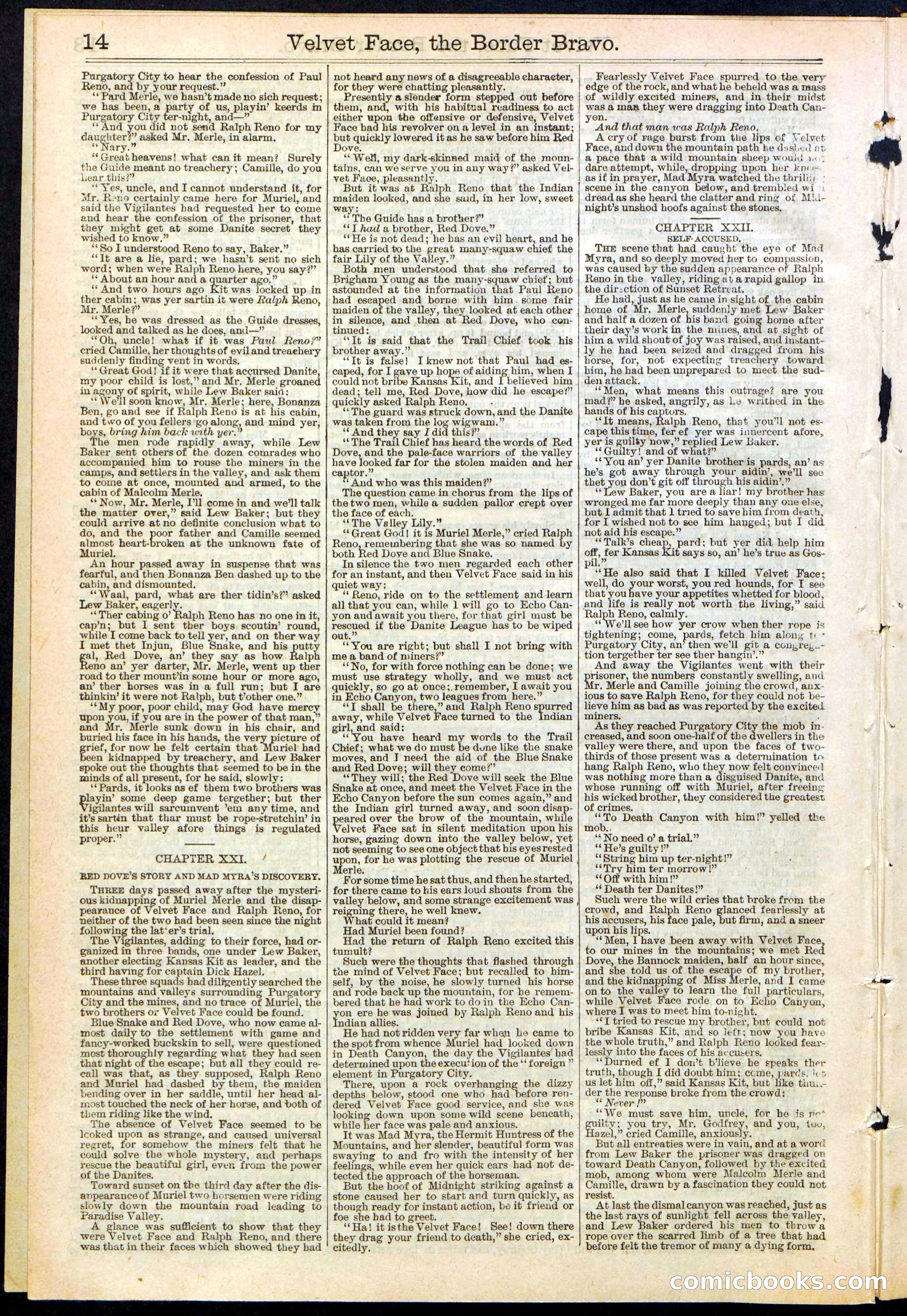 Beadle's New York Dime Library, No. 156 — page 14 of 24